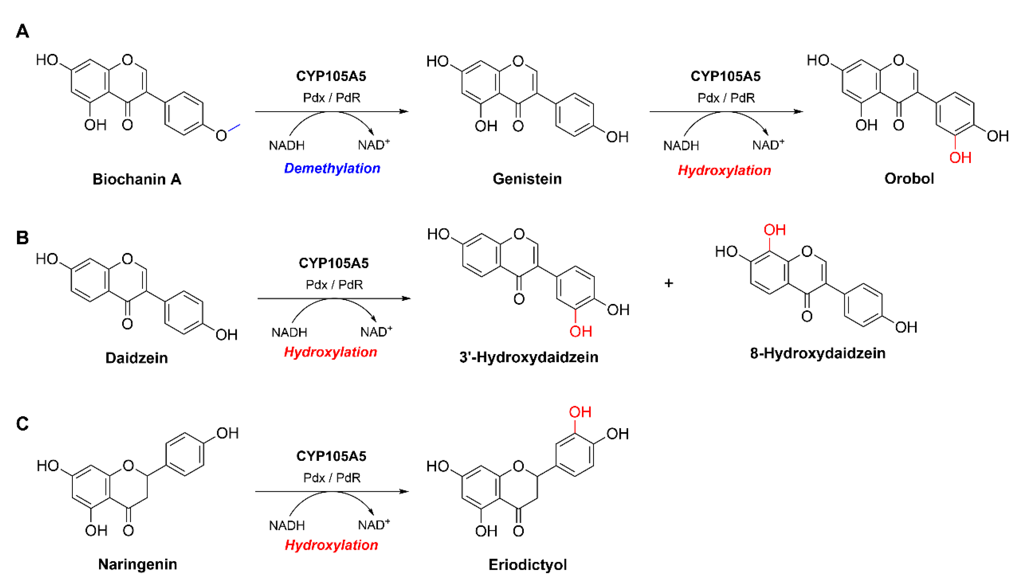 Catalysts 12 01157 sch001 Catalysts 12 01157 sch001