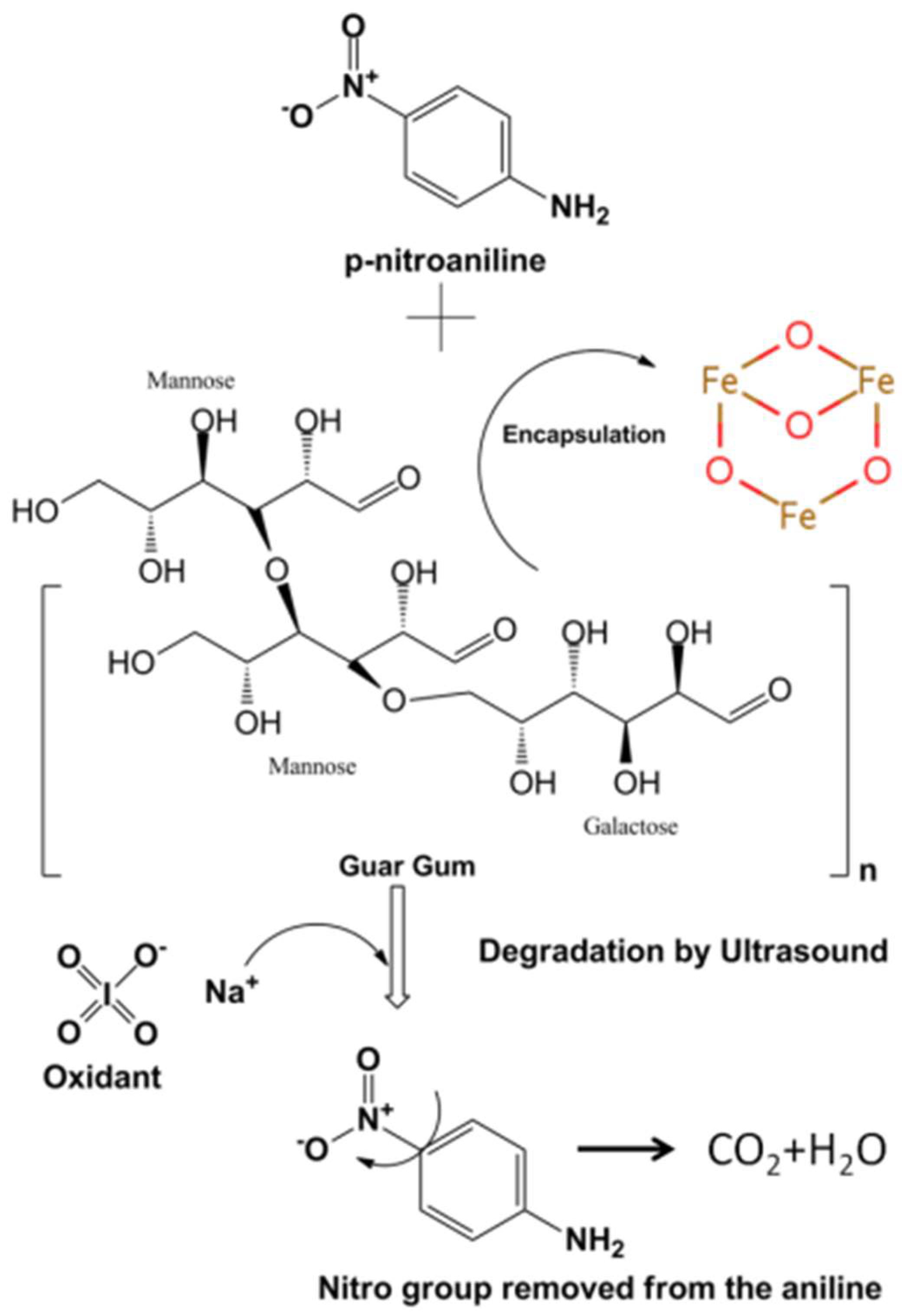 Catalysts 12 01161 g005