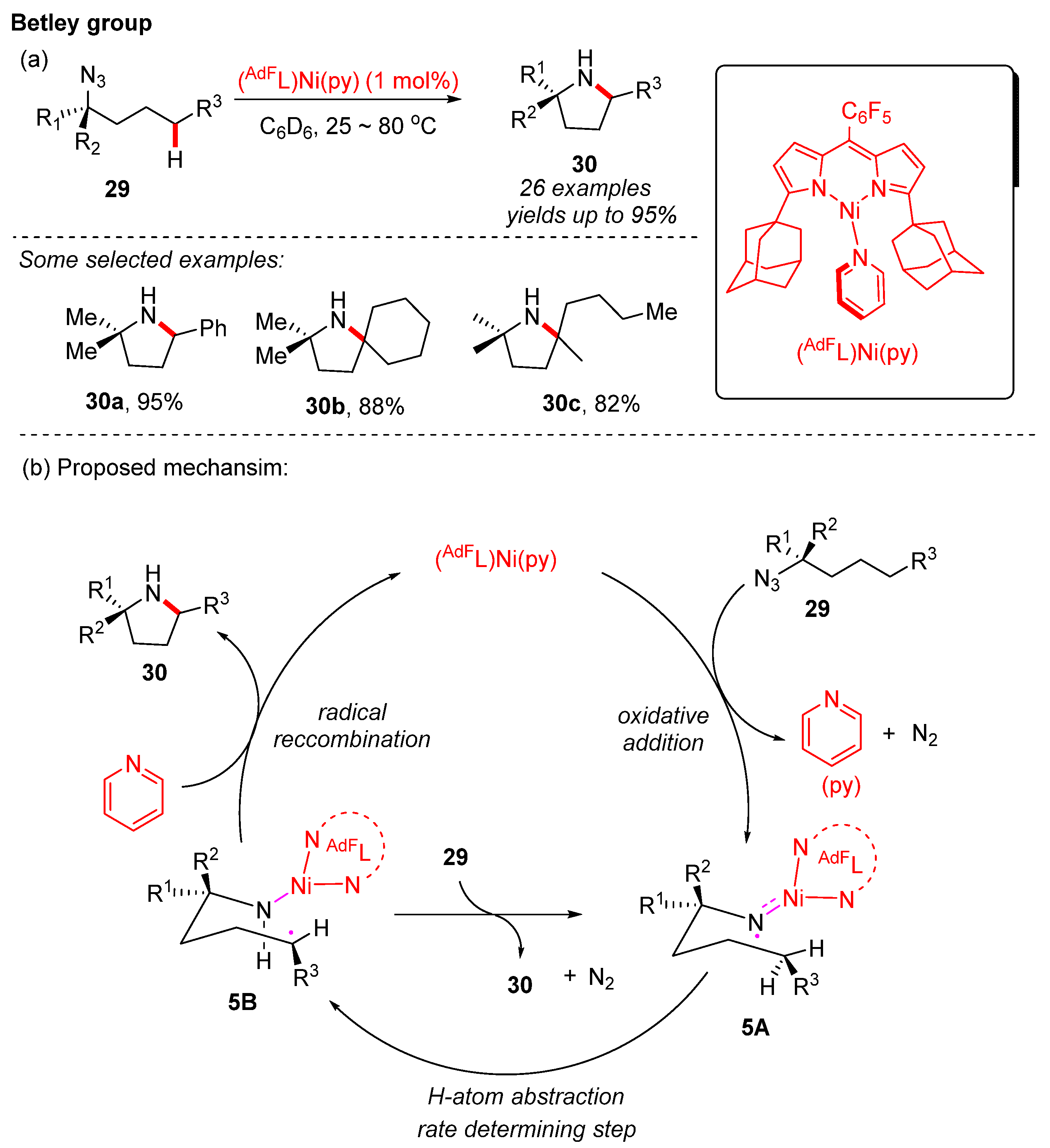 Catalysts 12 01163 sch011