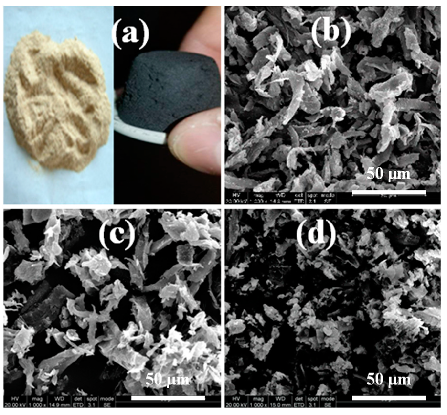 Catalysts 12 01164 g001