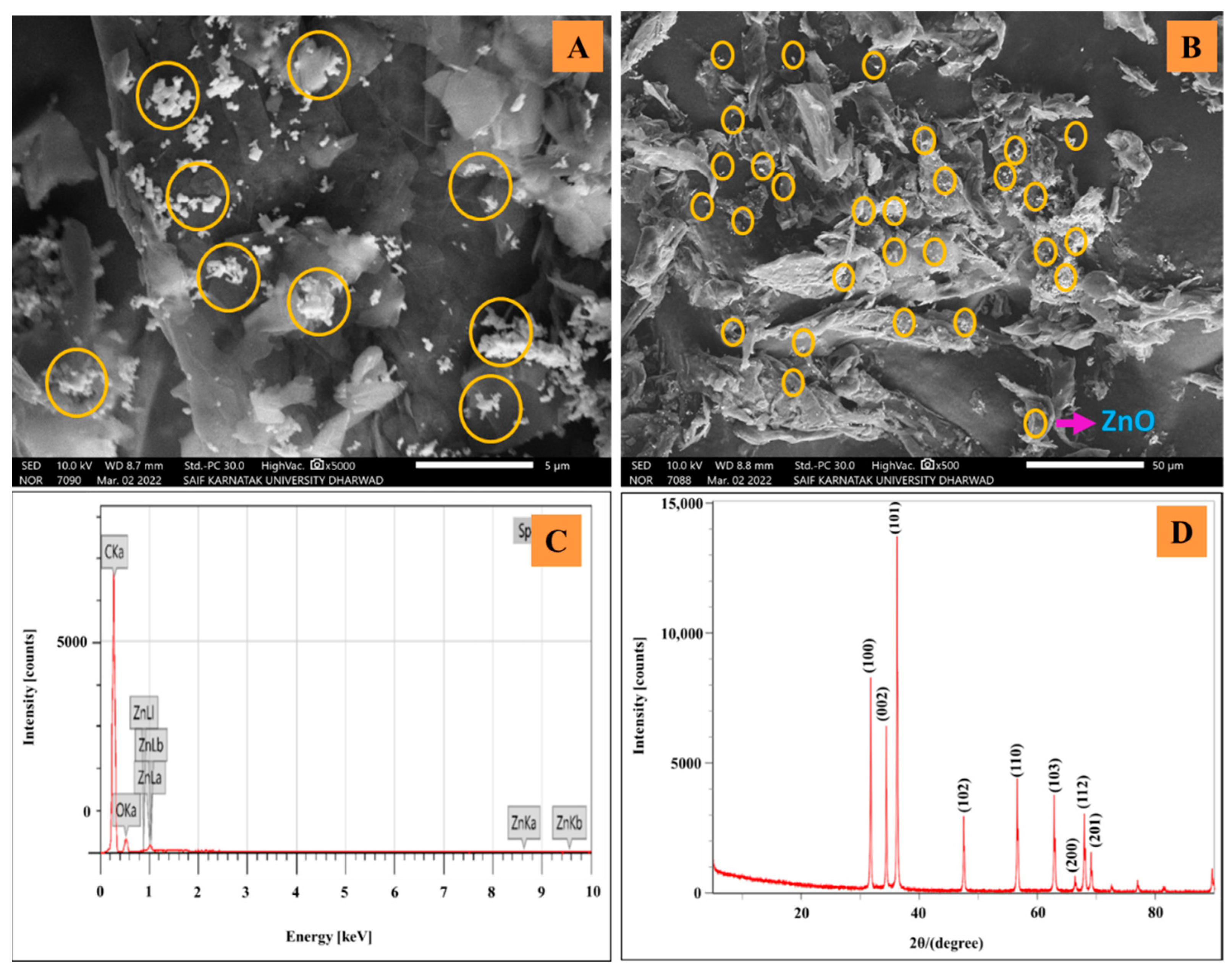 Catalysts 12 01166 g001