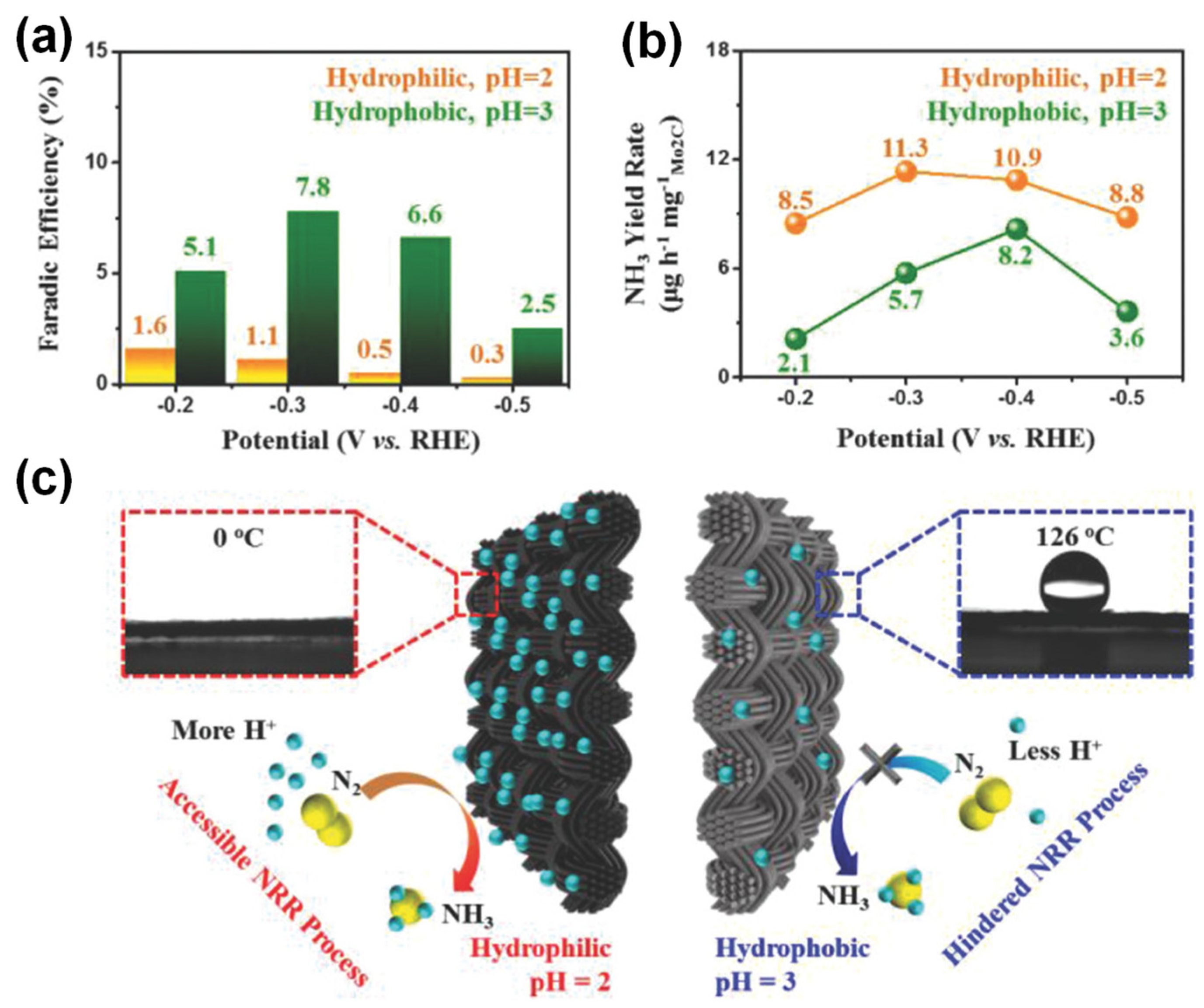 Catalysts 12 01167 g007