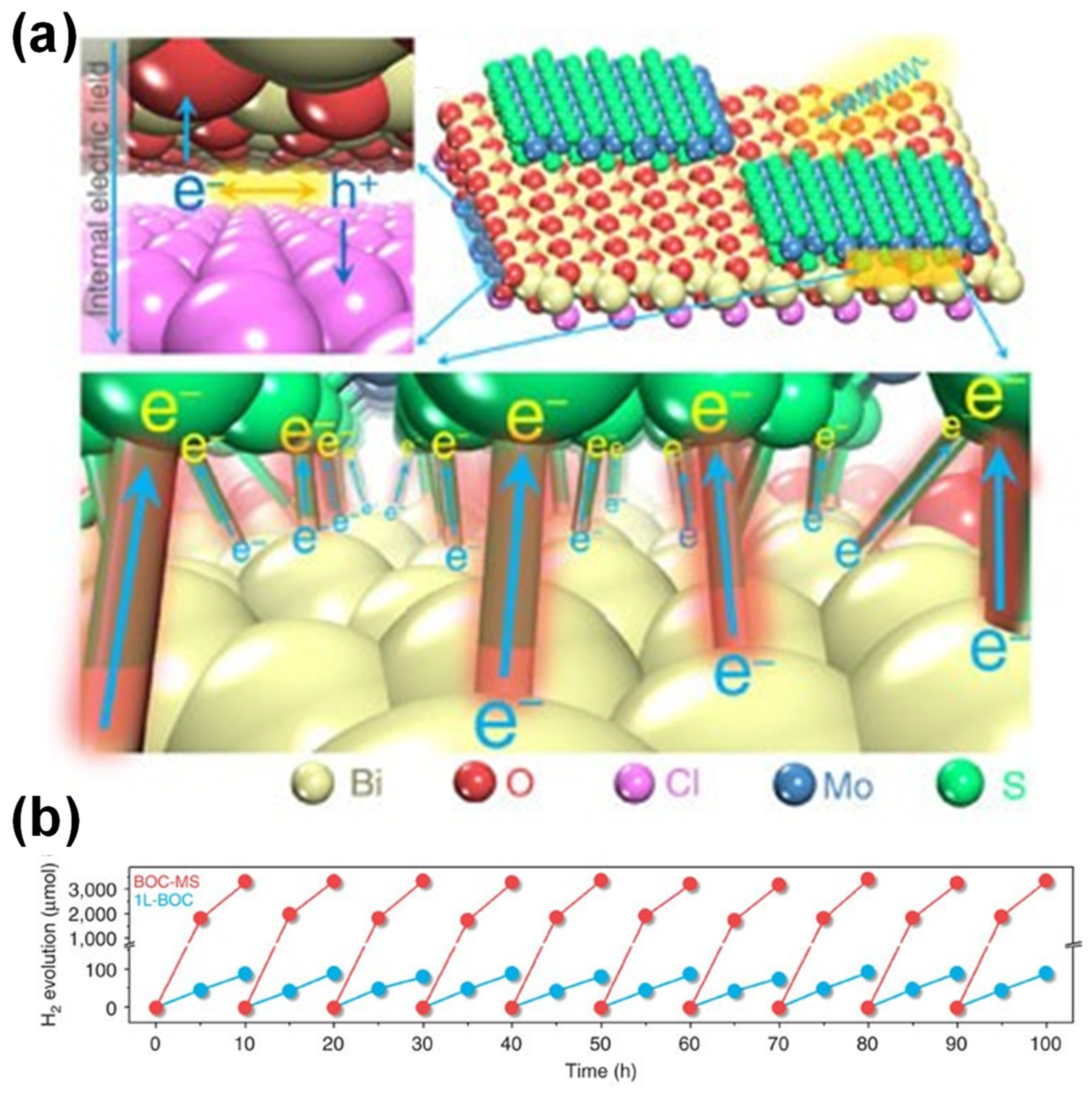 Catalysts 12 01167 g008