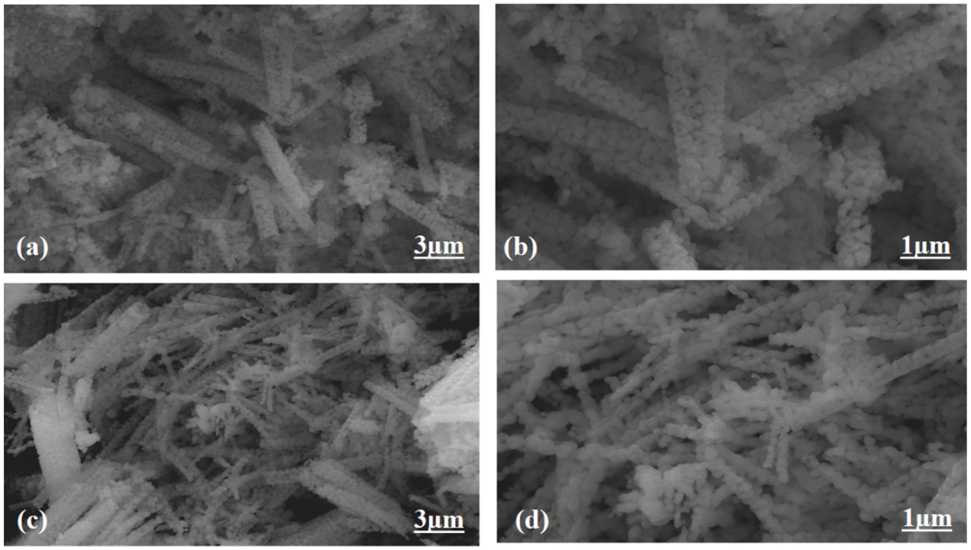 Catalysts 12 01176 g003