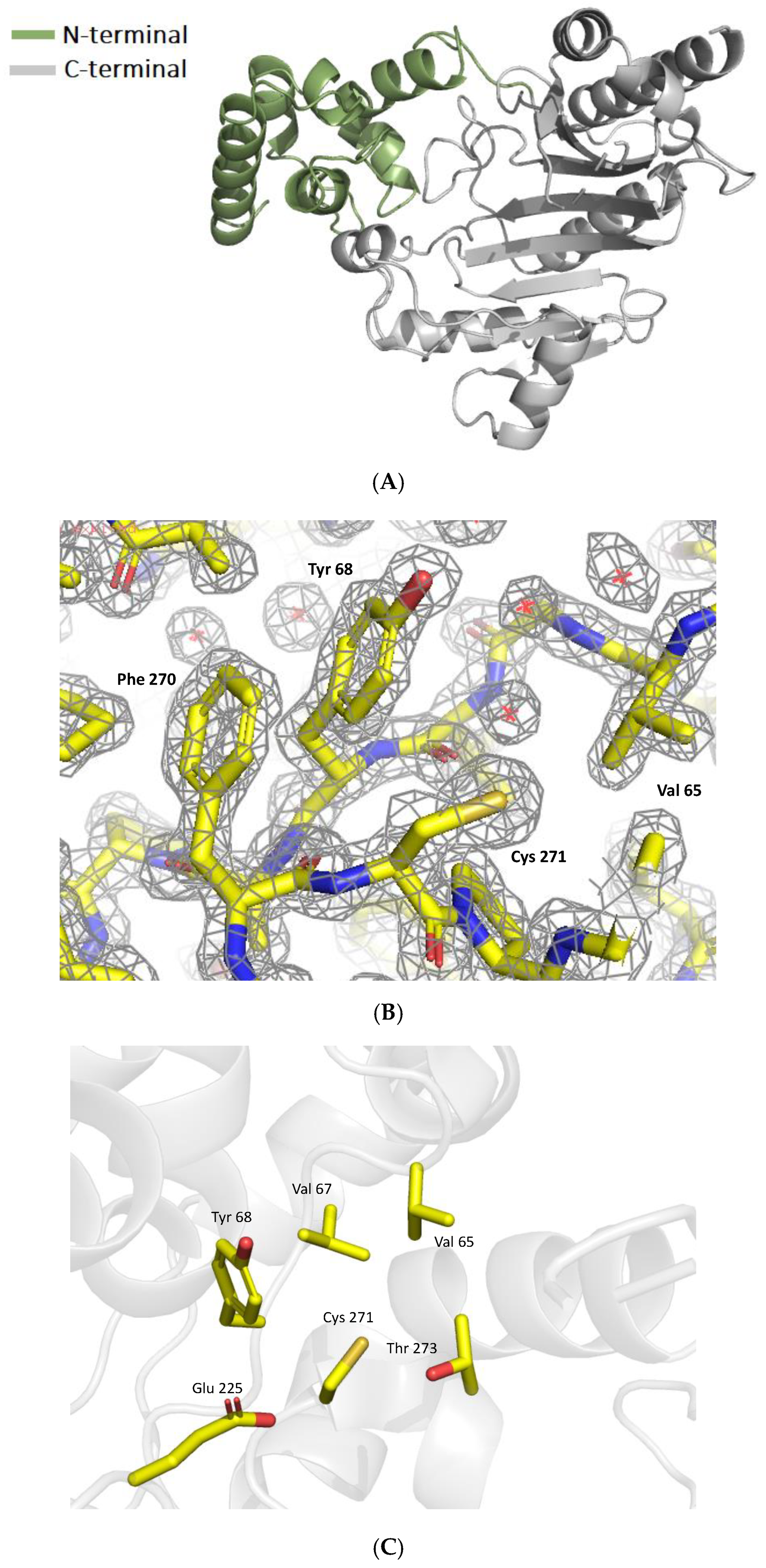 Catalysts 12 01178 g002