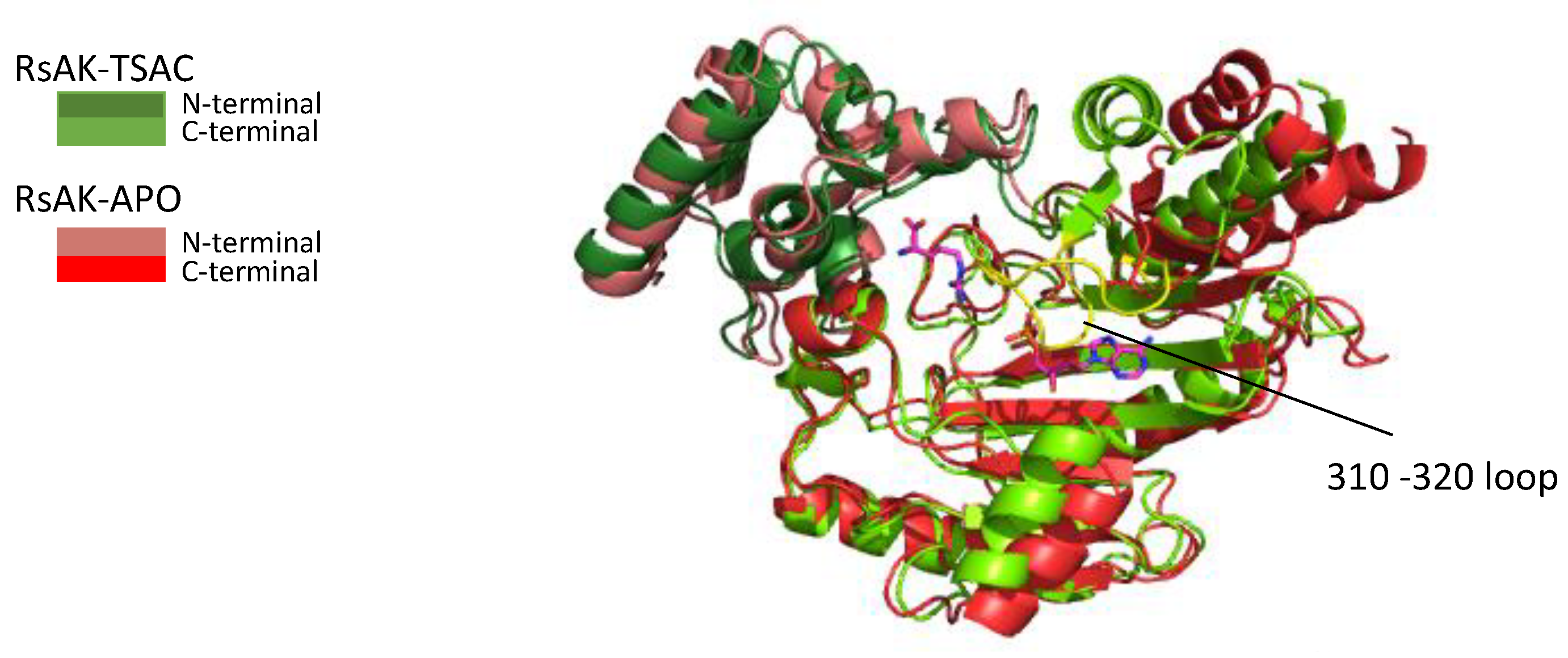 Catalysts 12 01178 g003