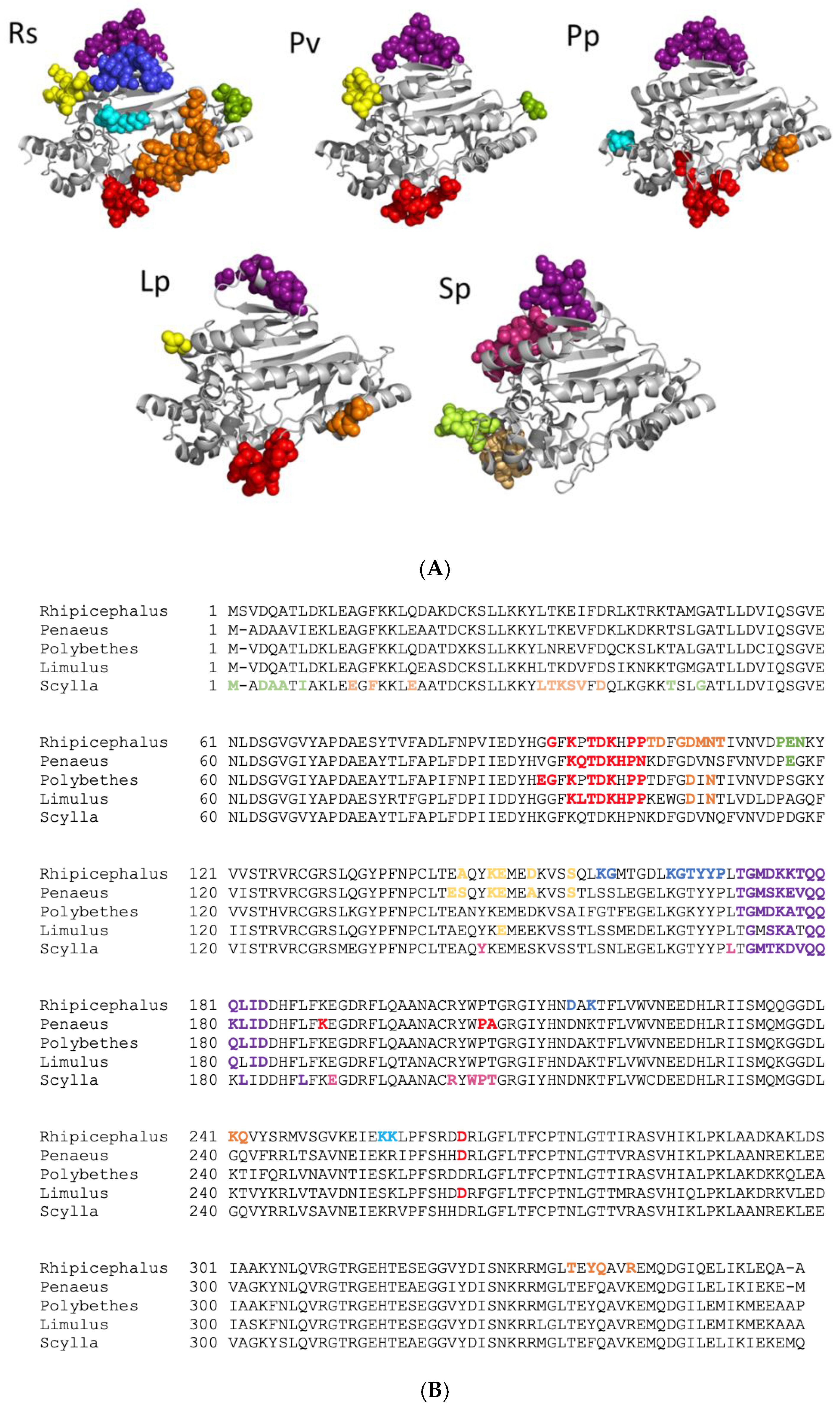 Catalysts 12 01178 g004