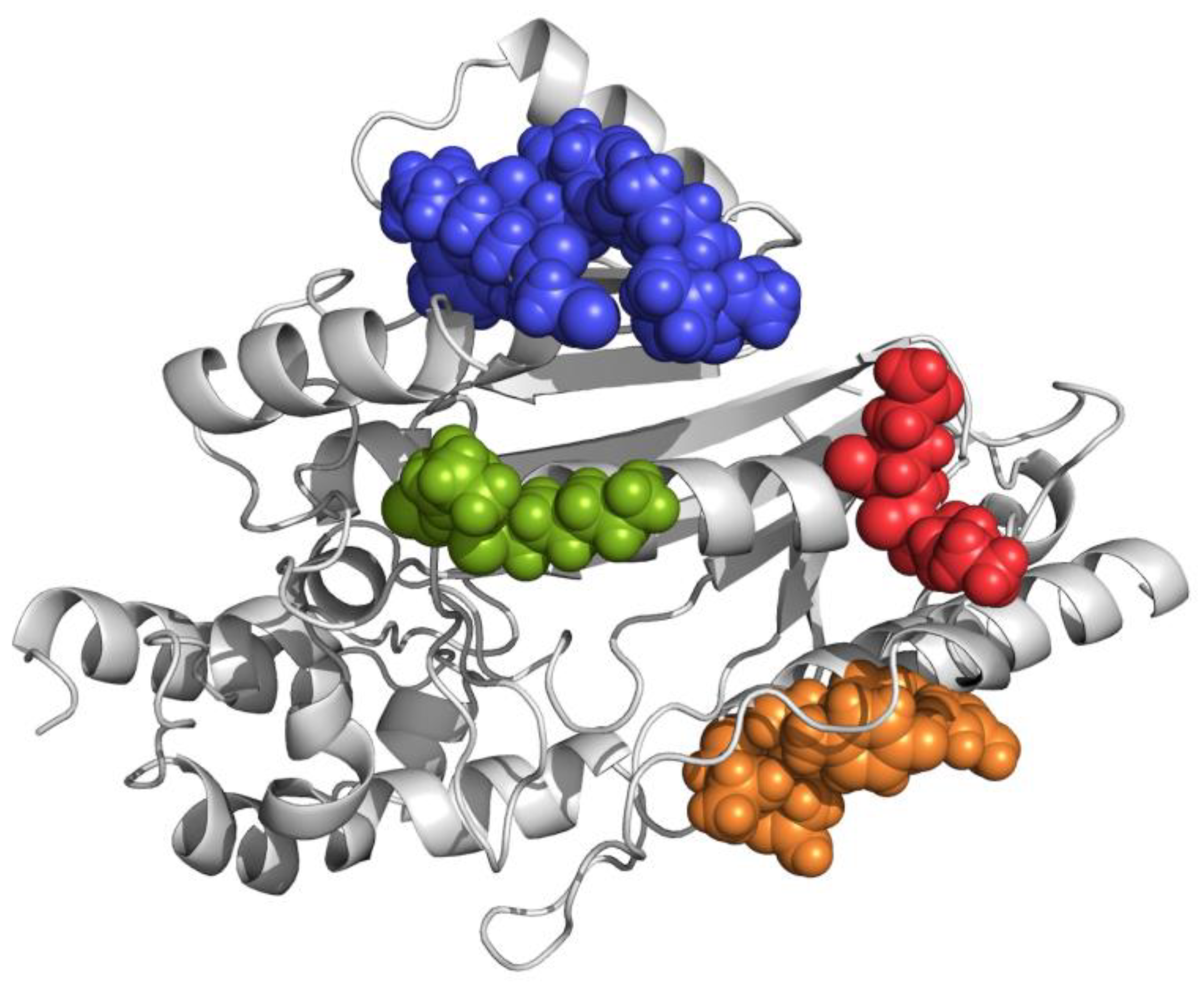 Catalysts 12 01178 g005