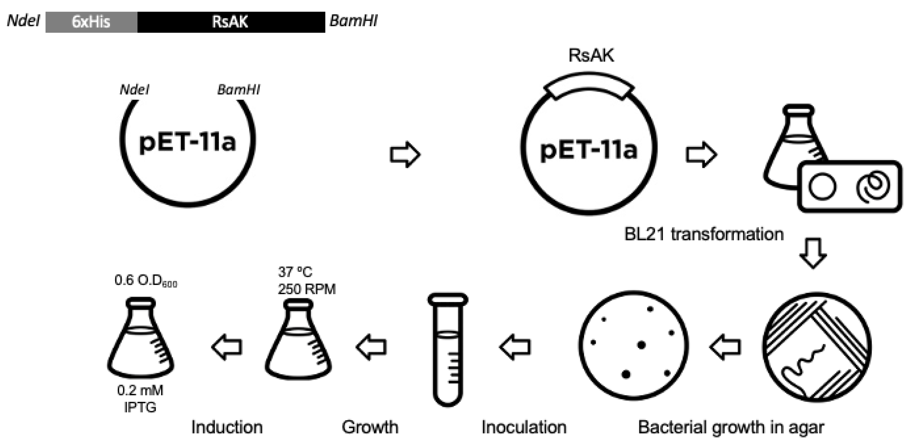 Catalysts 12 01178 g006