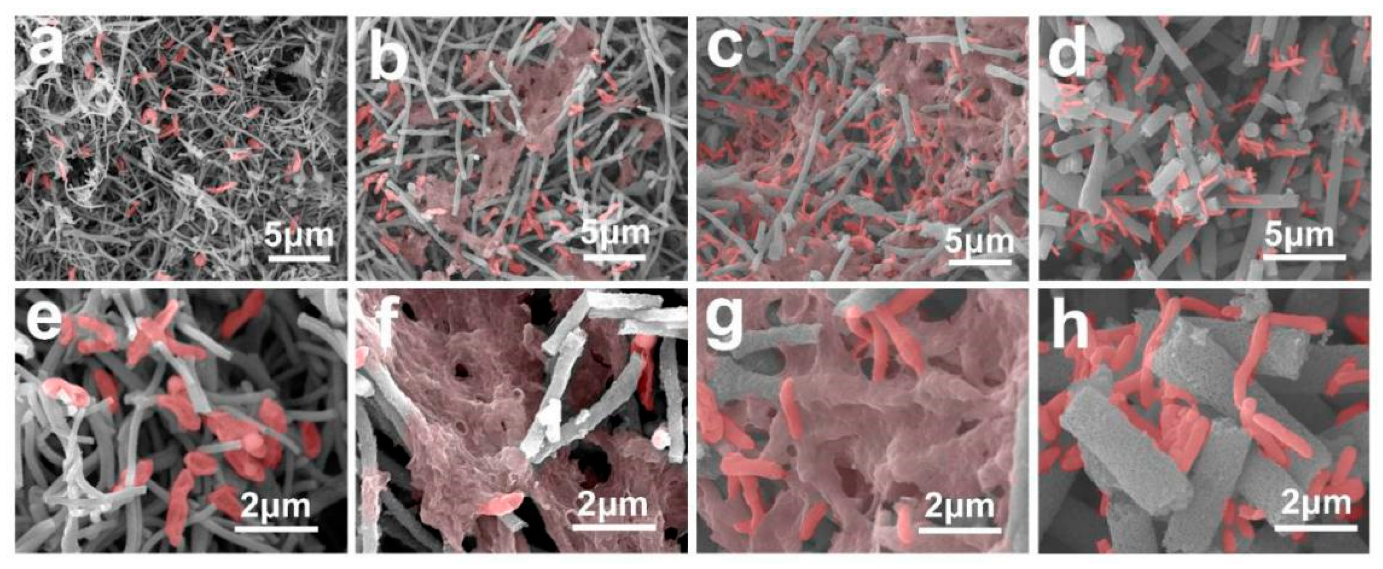 Catalysts 12 01187 g006 Catalysts 12 01187 g006