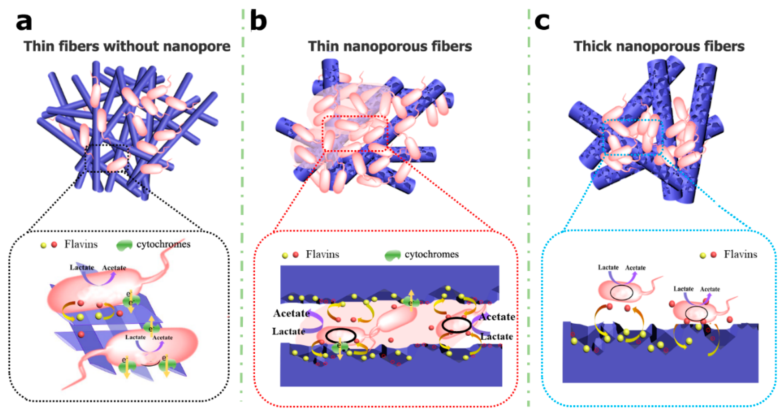 Catalysts 12 01187 g007 Catalysts 12 01187 g007