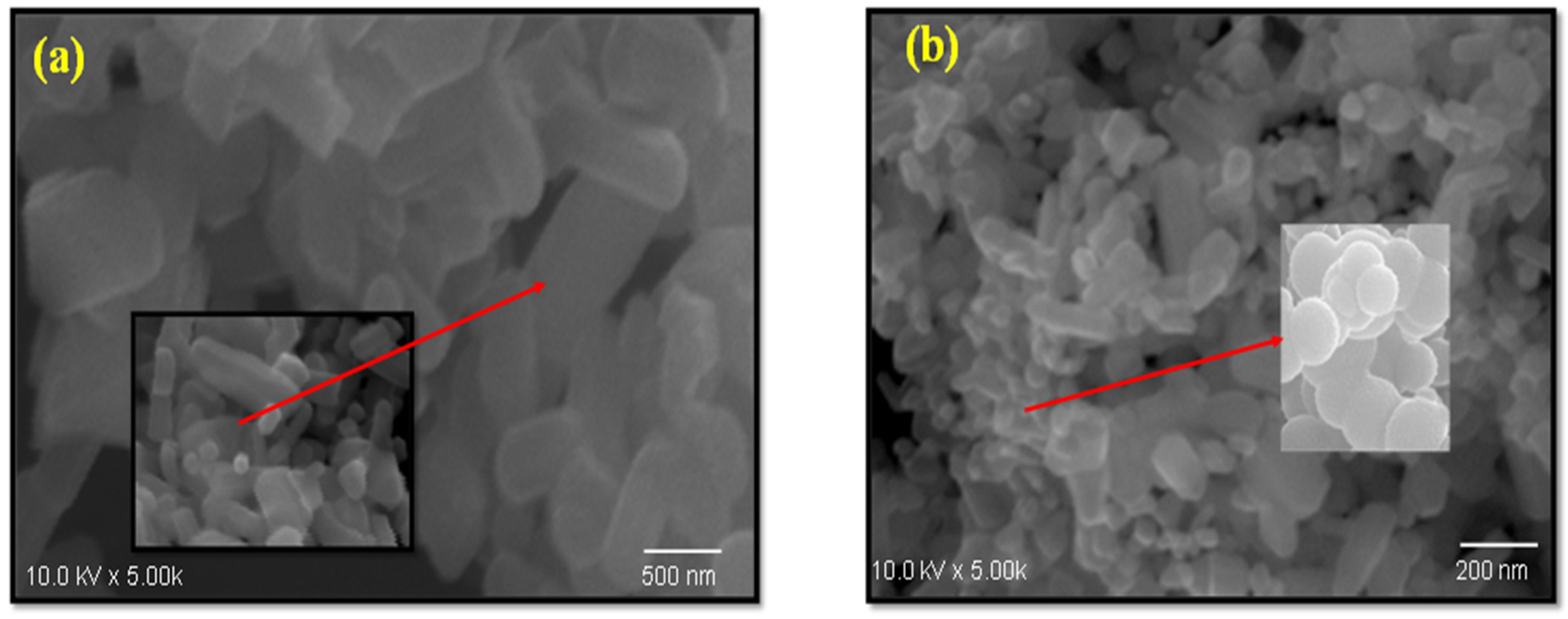Catalysts 12 01194 g001