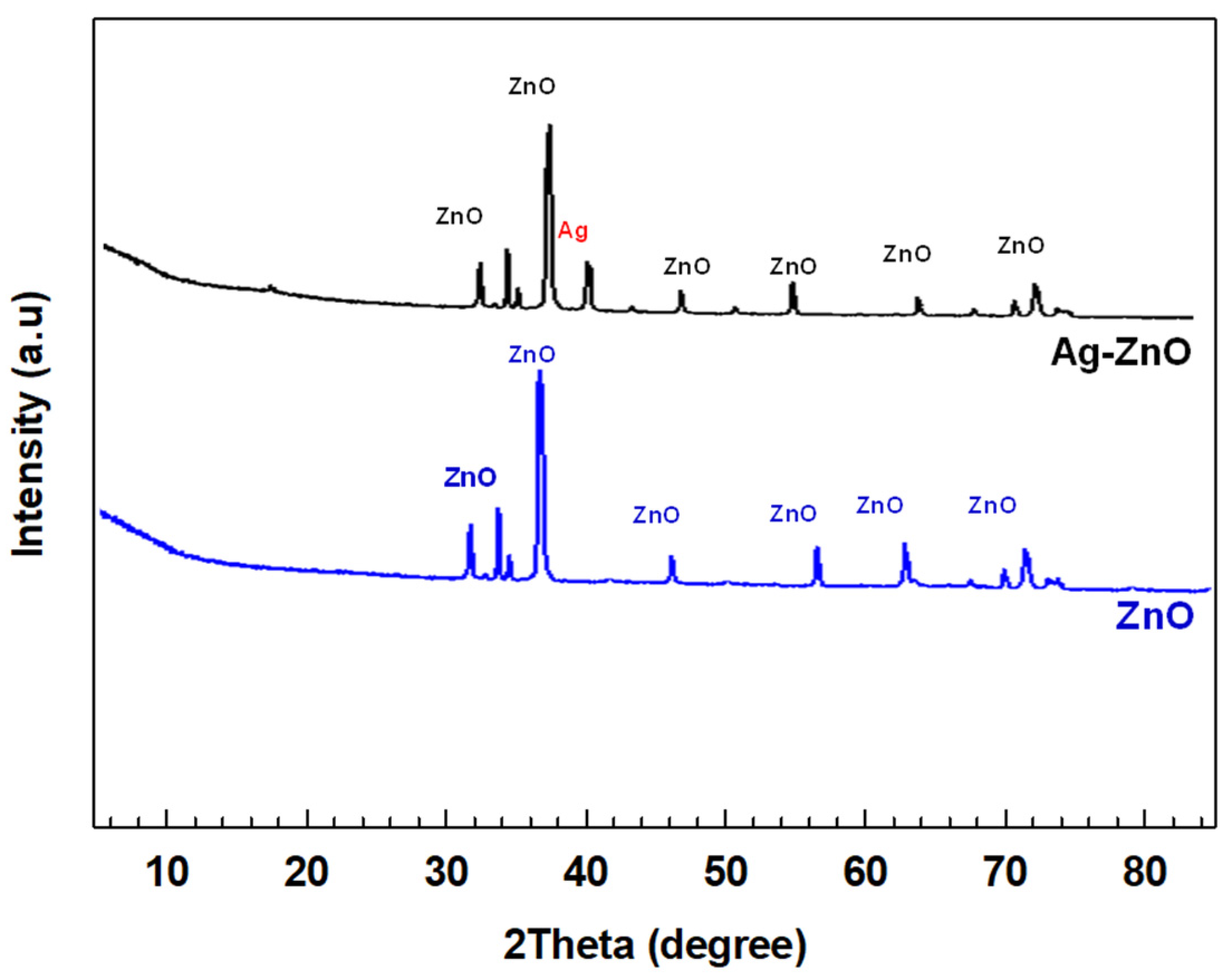 Catalysts 12 01194 g002