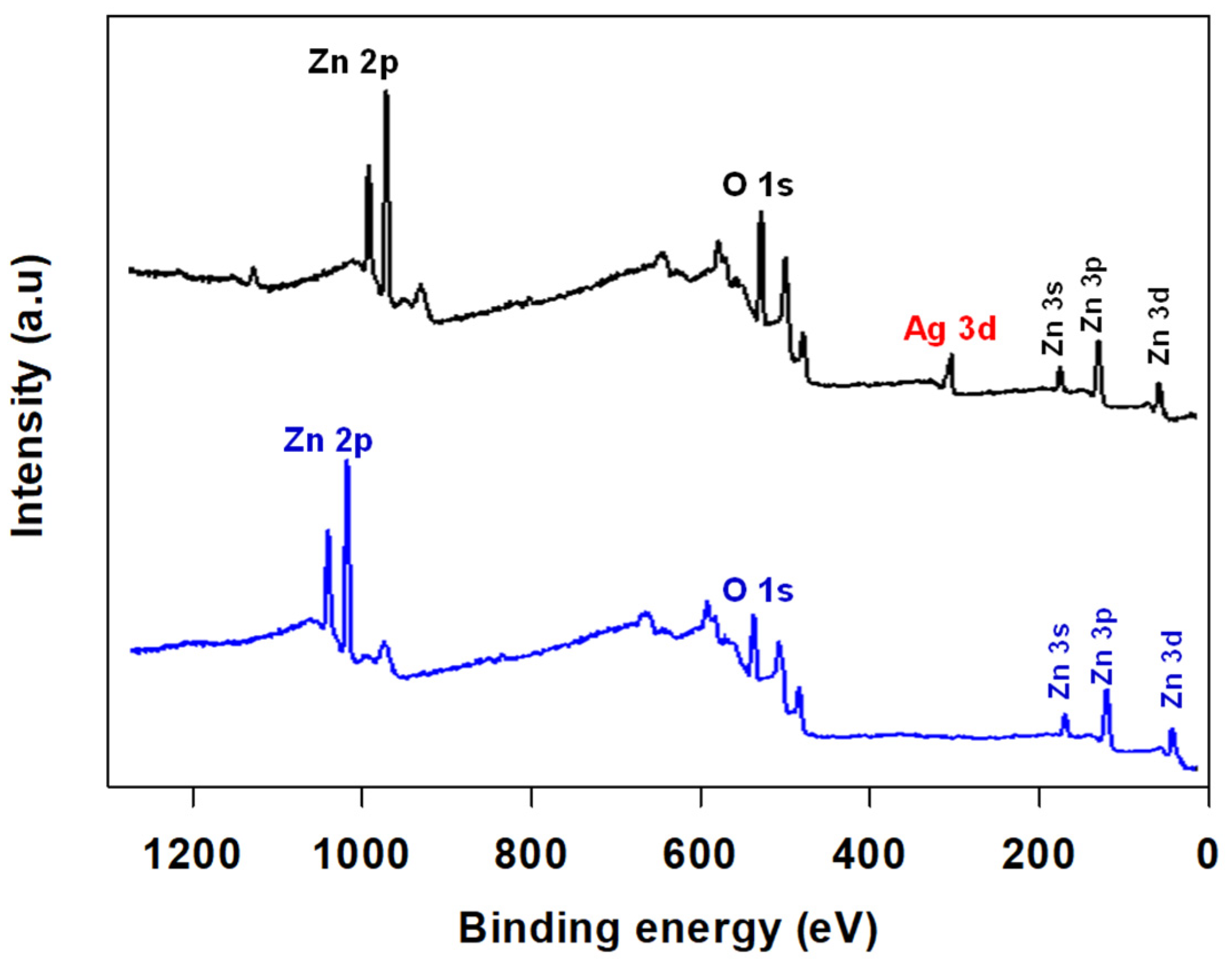 Catalysts 12 01194 g003