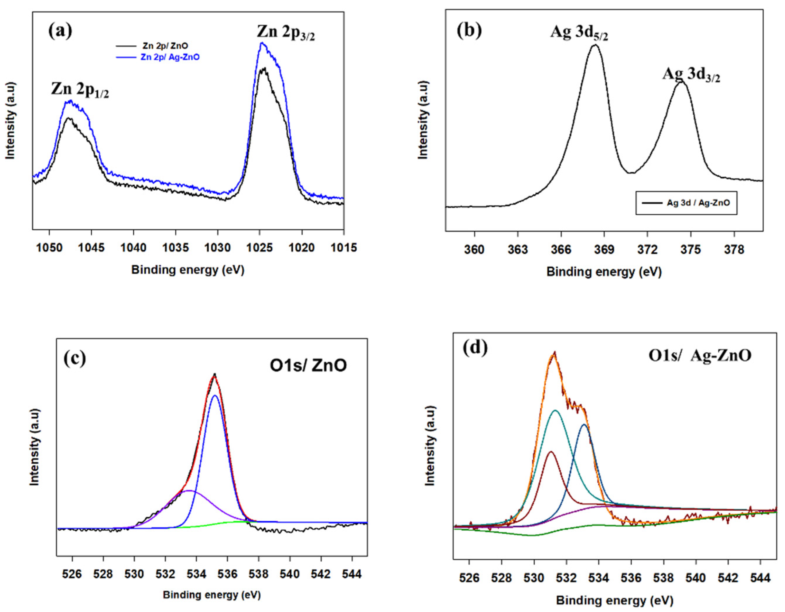 Catalysts 12 01194 g004