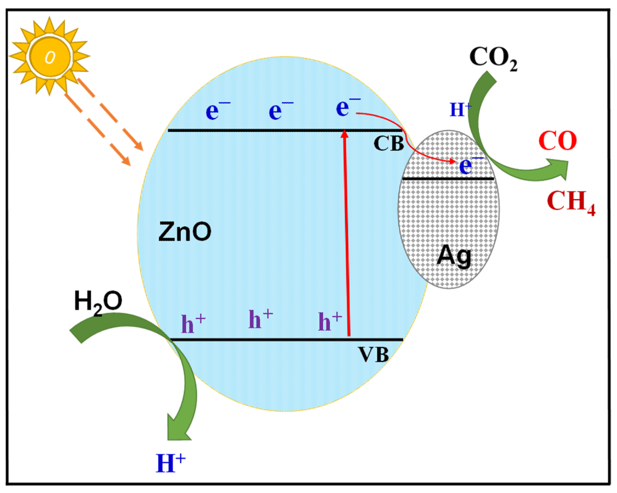 Catalysts 12 01194 g008