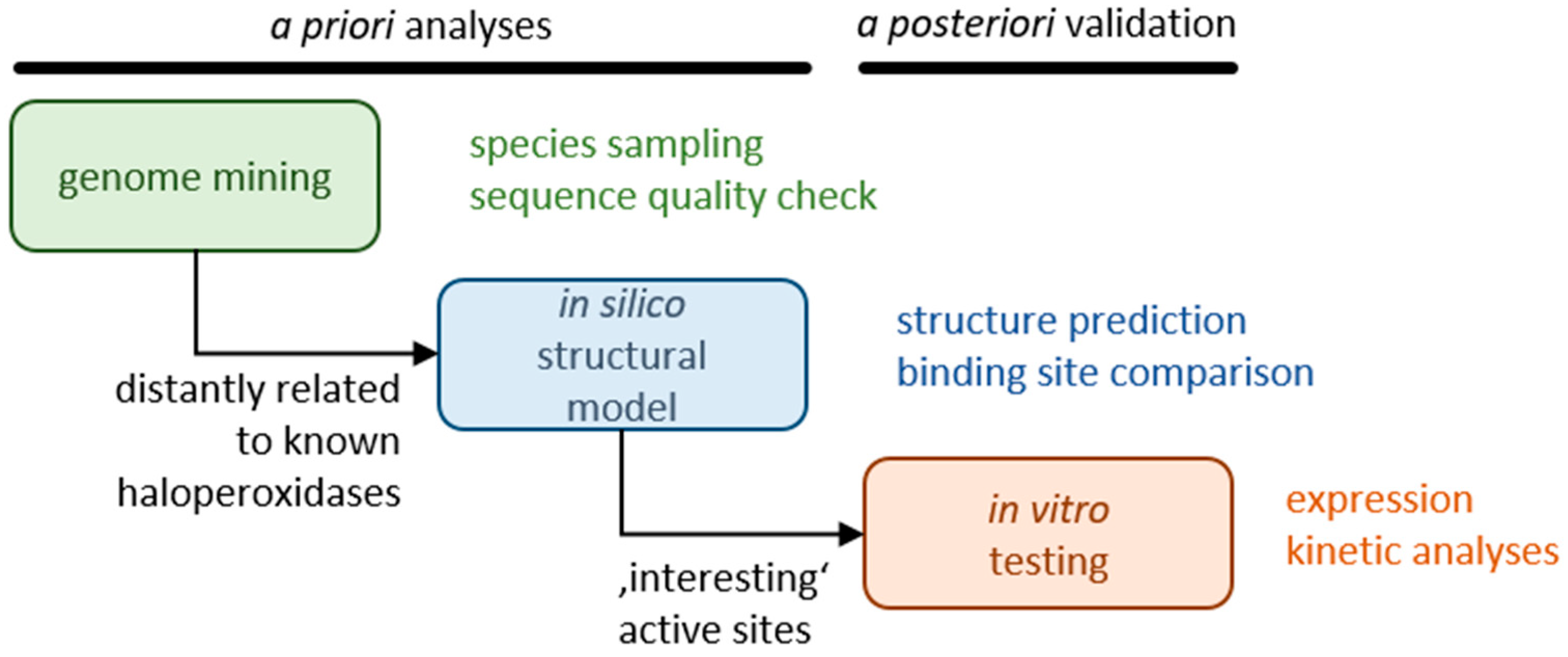 Catalysts 12 01195 g001