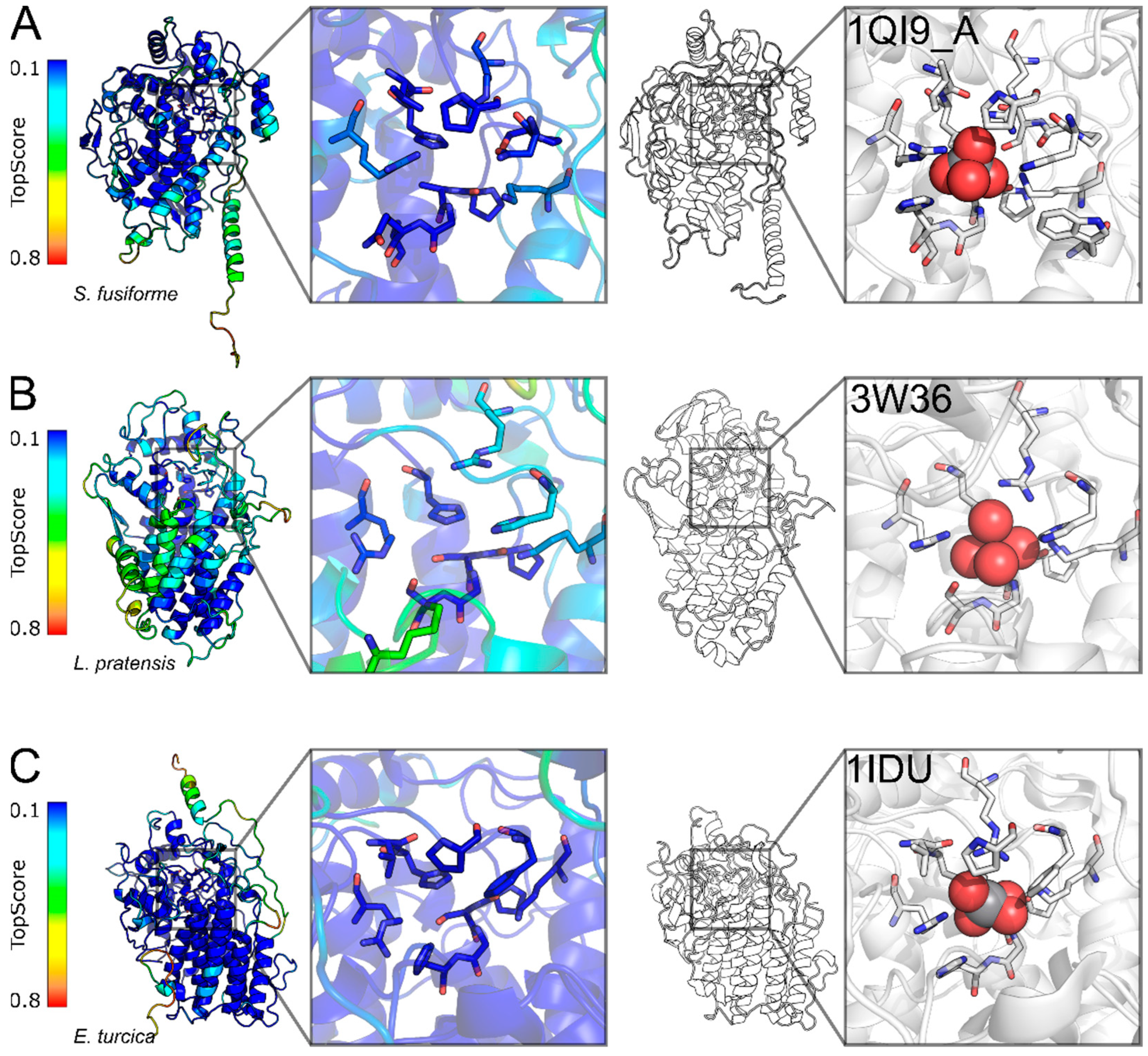 Catalysts 12 01195 g003