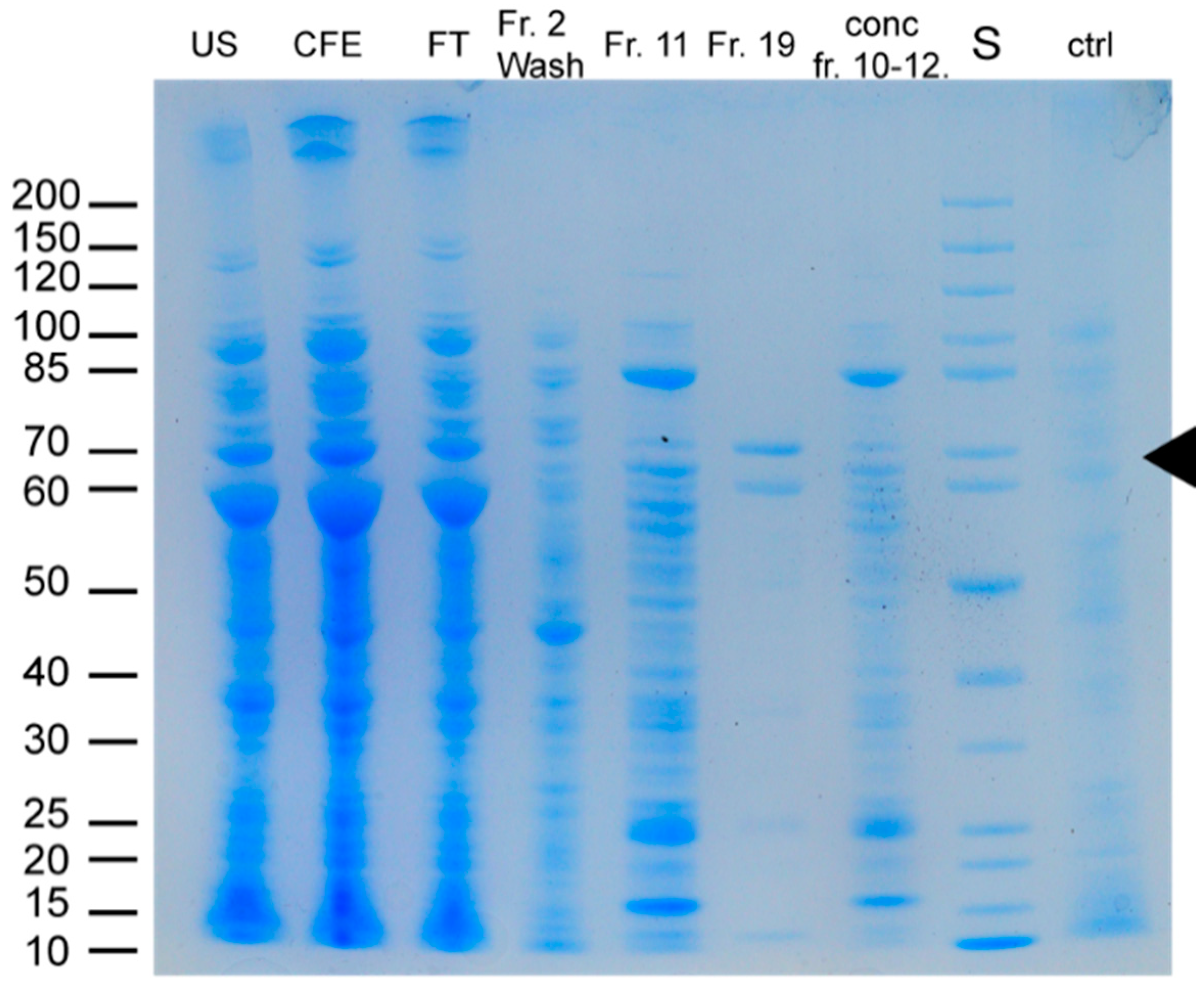 Catalysts 12 01195 g005