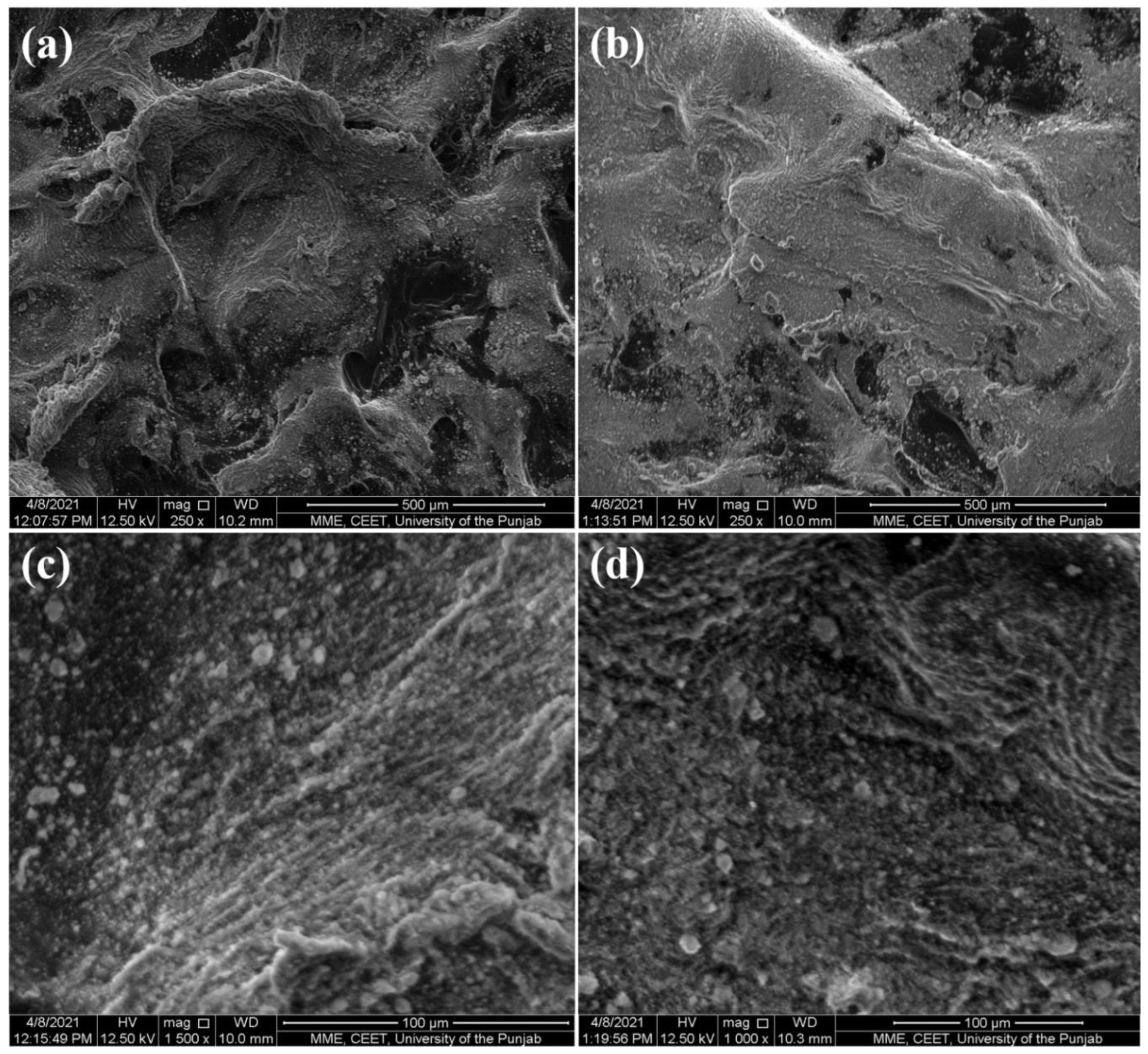 Catalysts 12 01197 g002 Catalysts 12 01197 g002