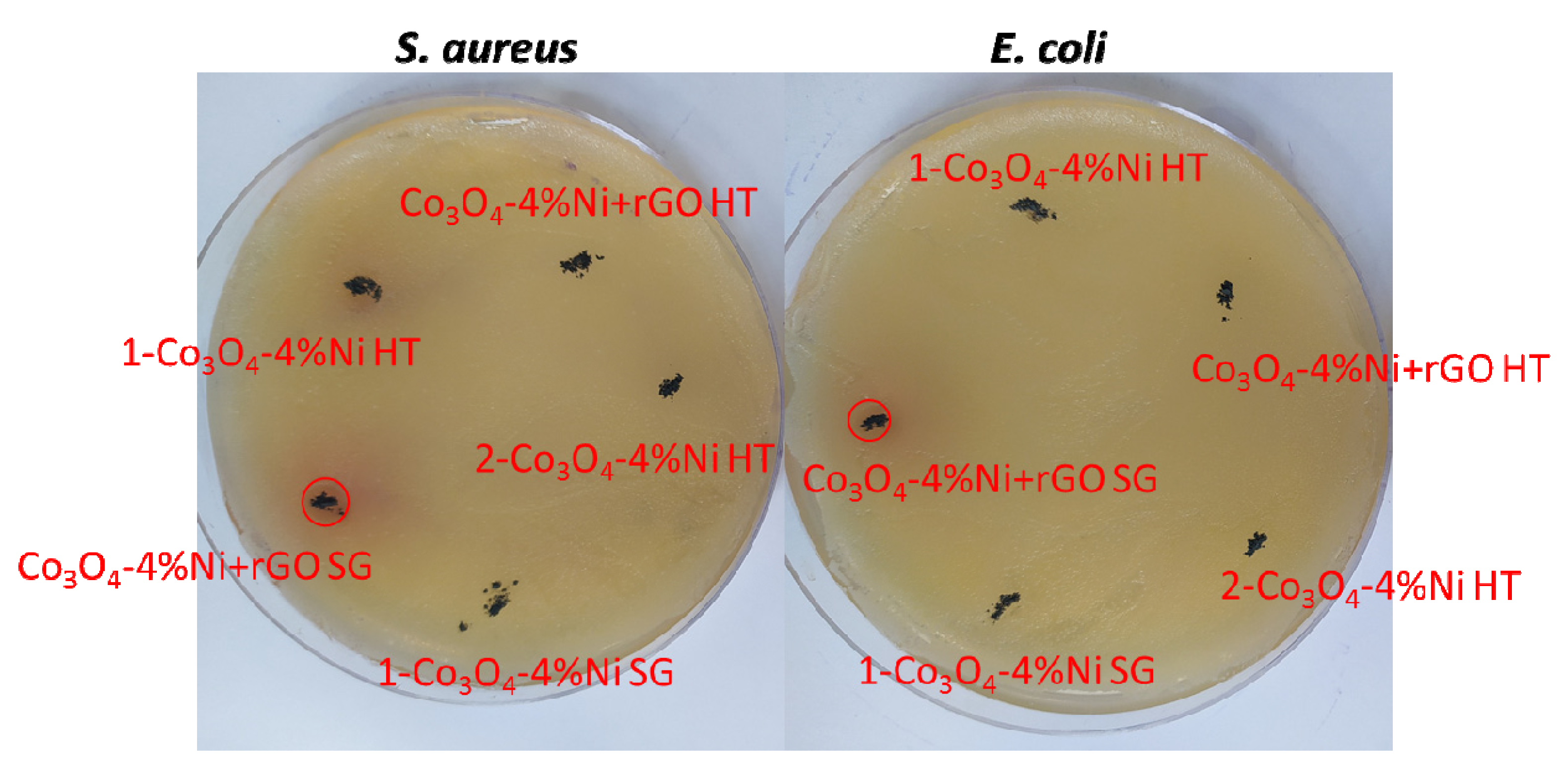 Catalysts 12 01199 g007