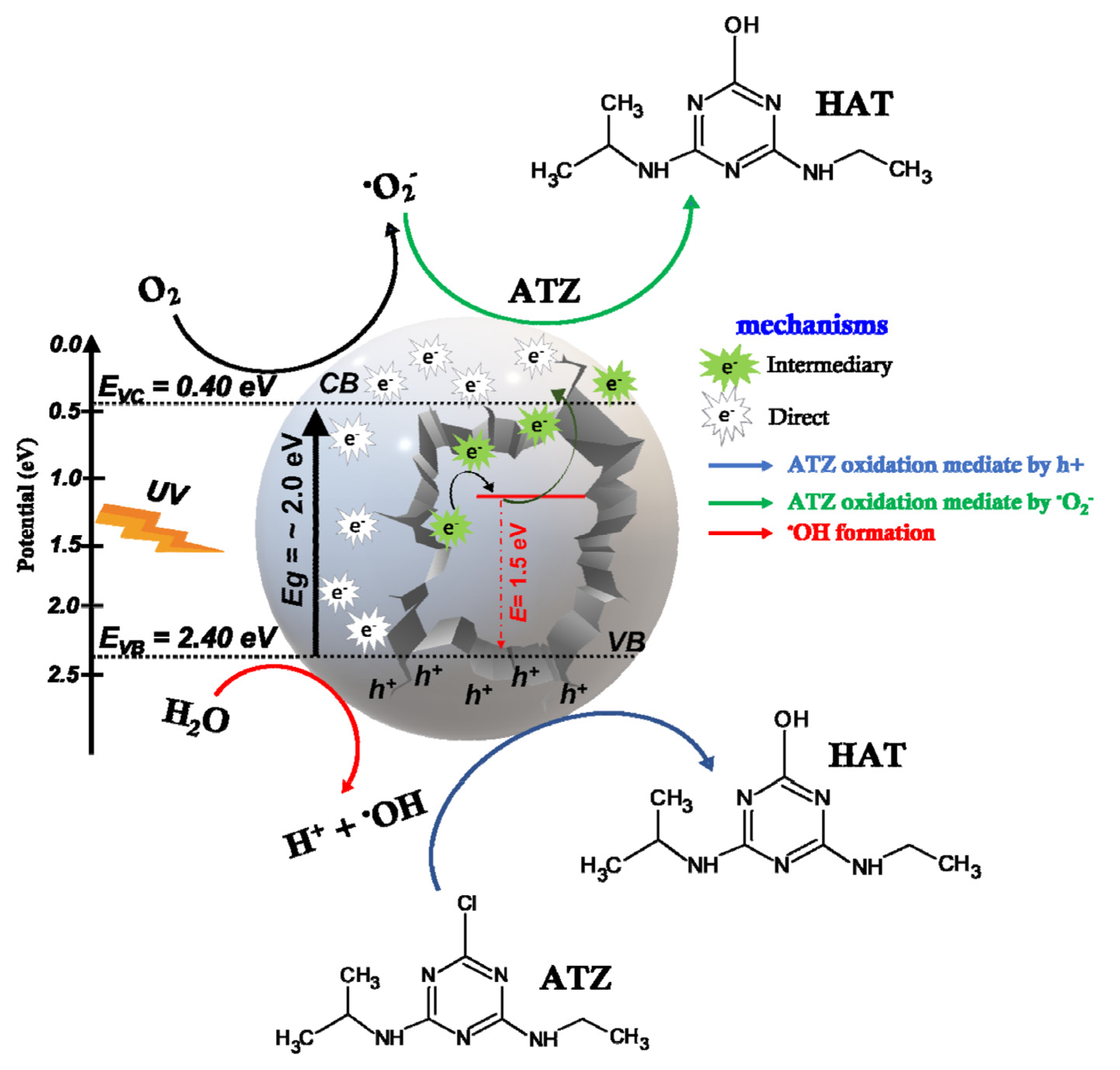 Catalysts 12 01199 g010