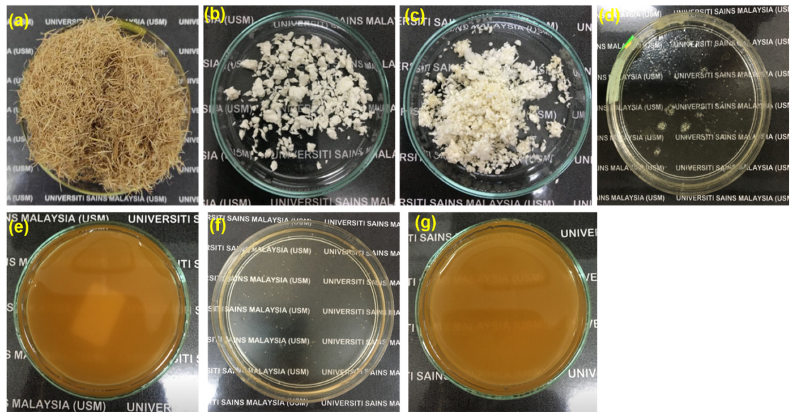 Catalysts 12 01205 g001 Catalysts 12 01205 g001