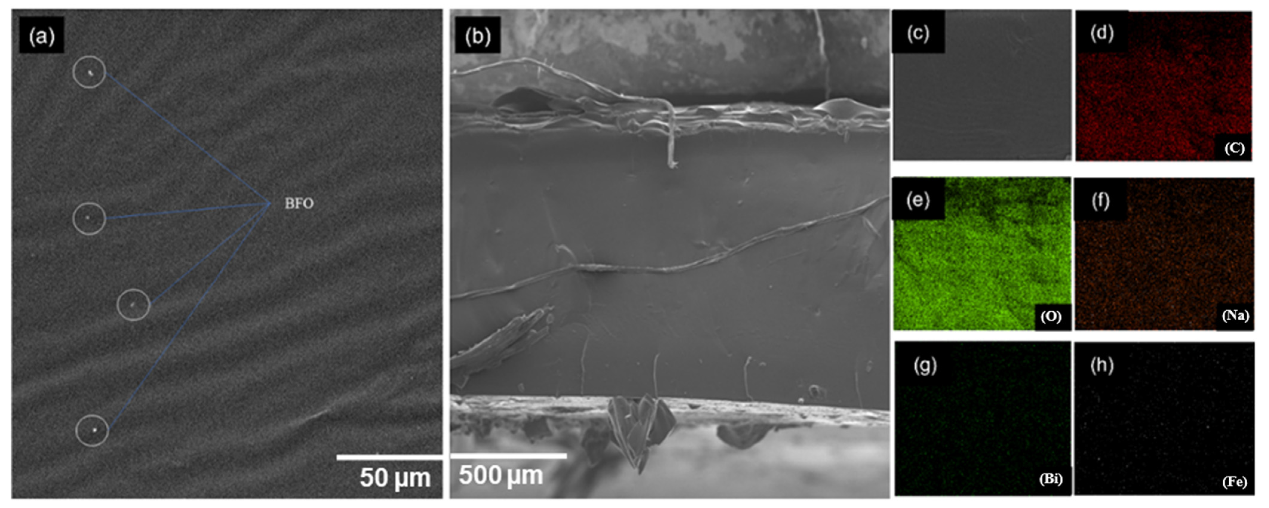 Catalysts 12 01205 g004 Catalysts 12 01205 g004