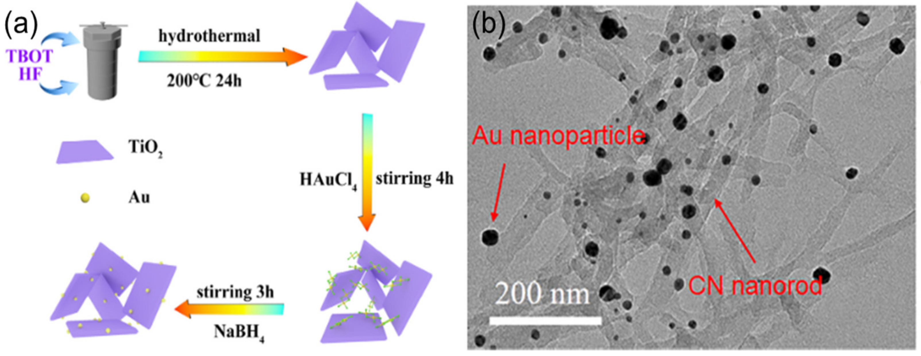 Catalysts 12 01210 g002 Catalysts 12 01210 g002