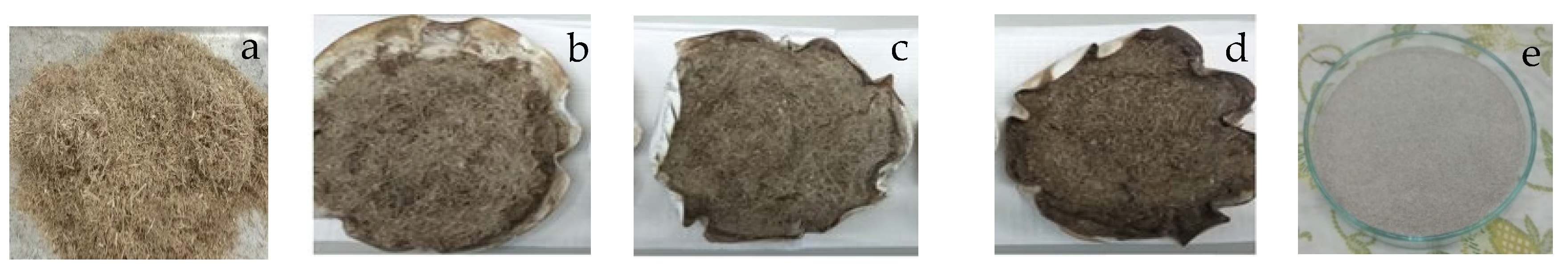 Catalysts 12 01215 g001