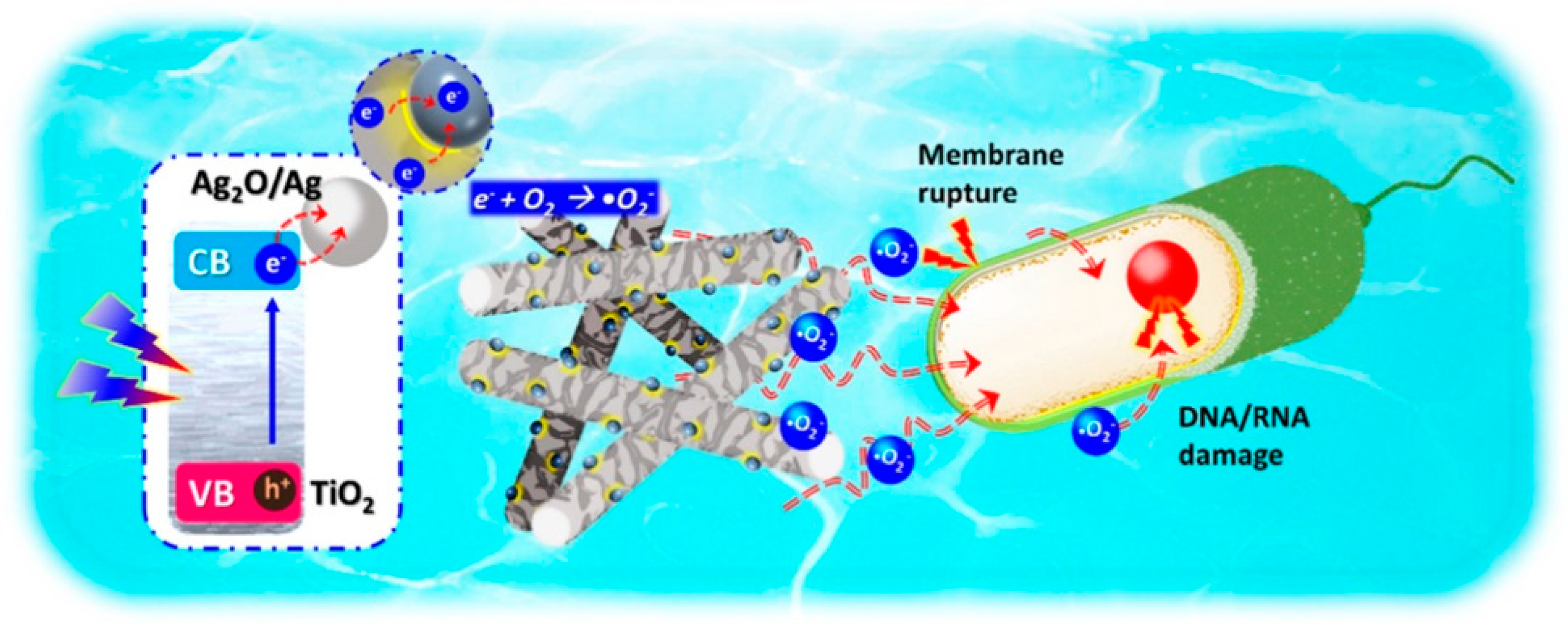 Catalysts 12 01218 g003 Catalysts 12 01218 g003