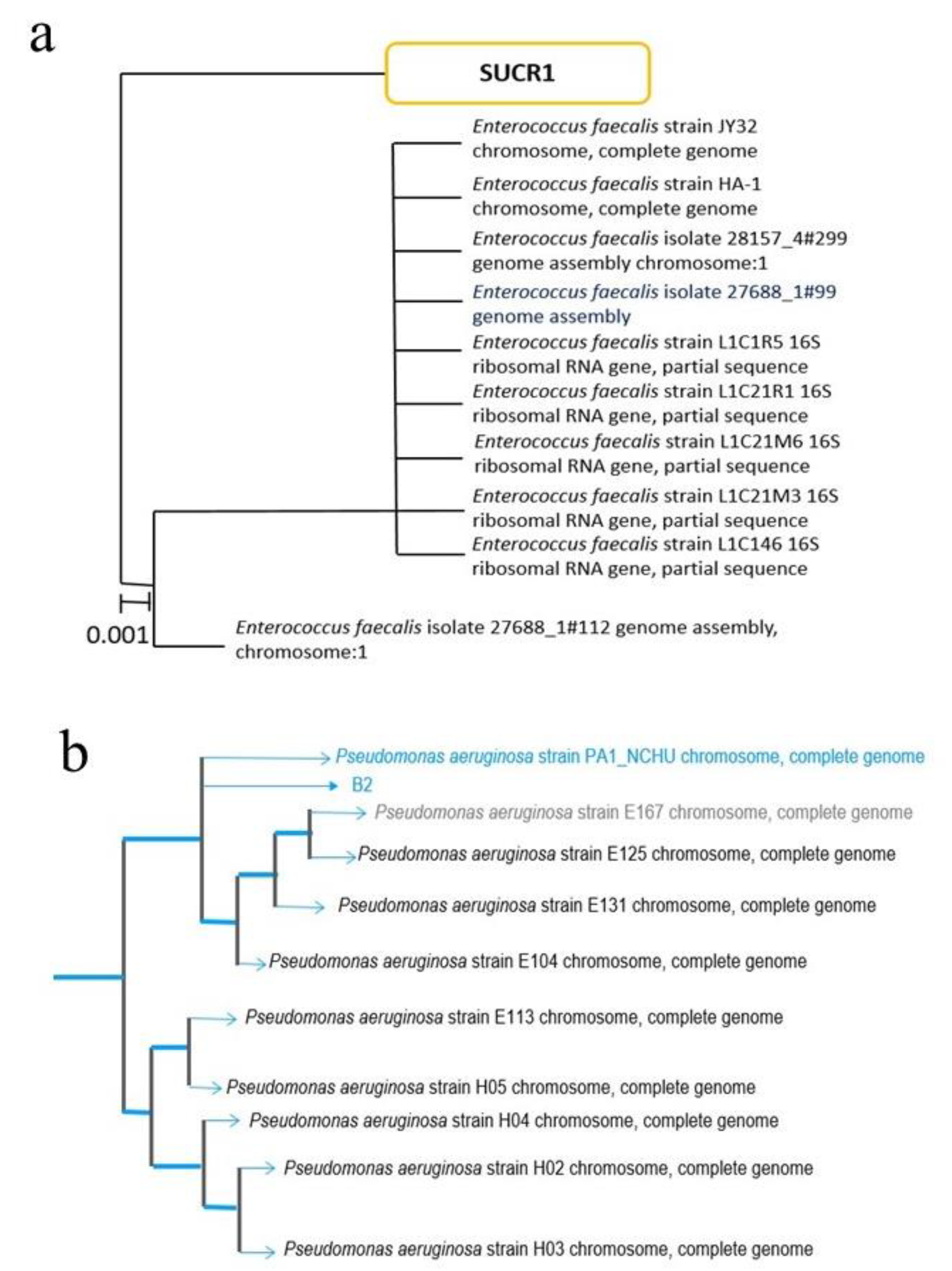 Catalysts 12 01219 g001