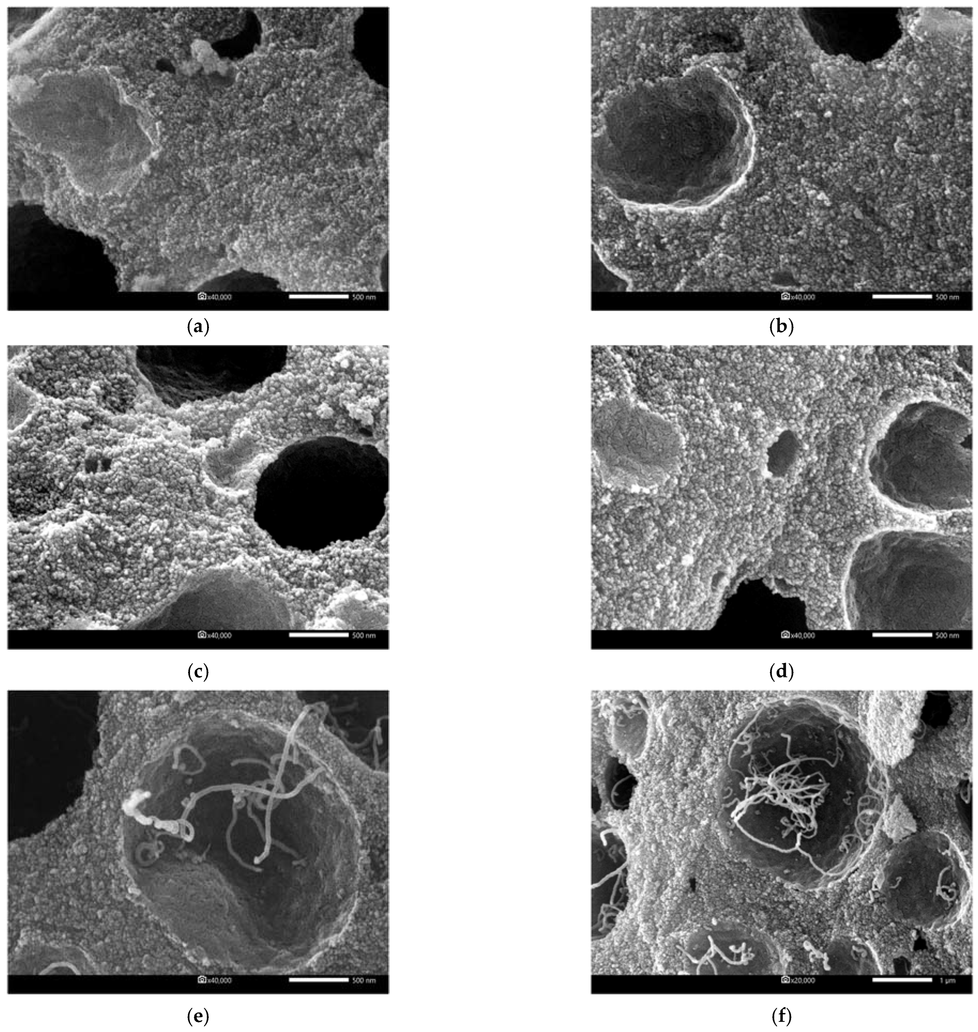 Catalysts 12 01222 g001