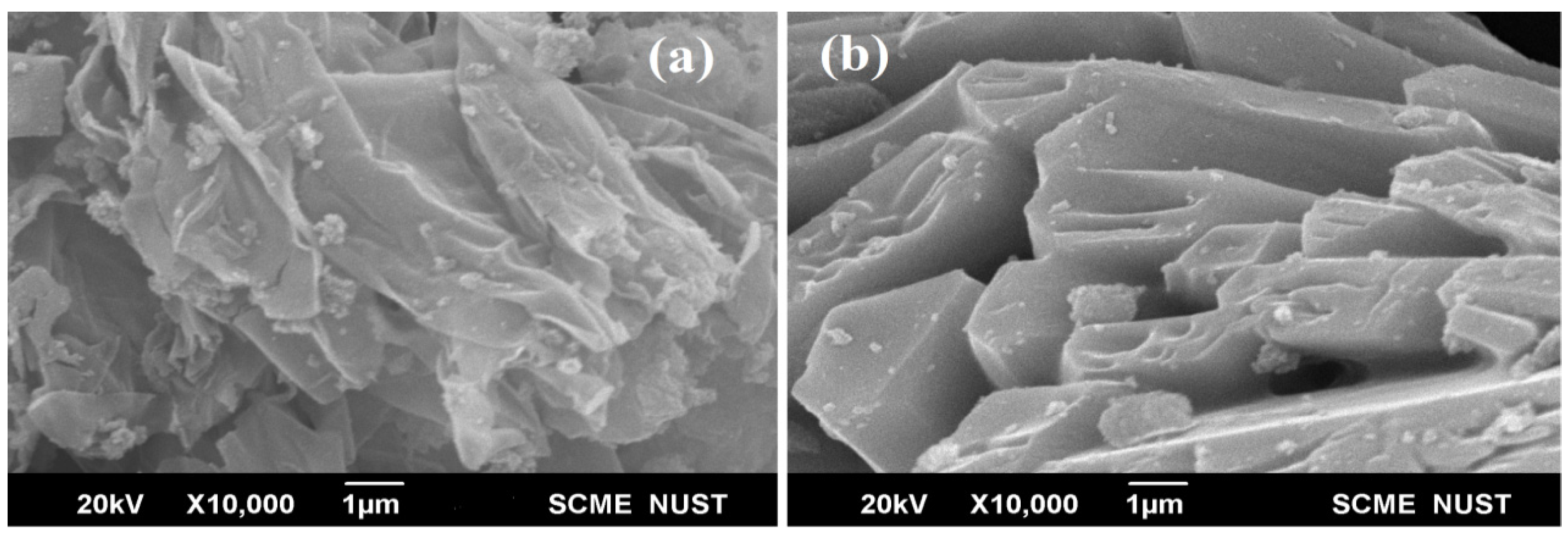 Catalysts 12 01234 g002 Catalysts 12 01234 g002