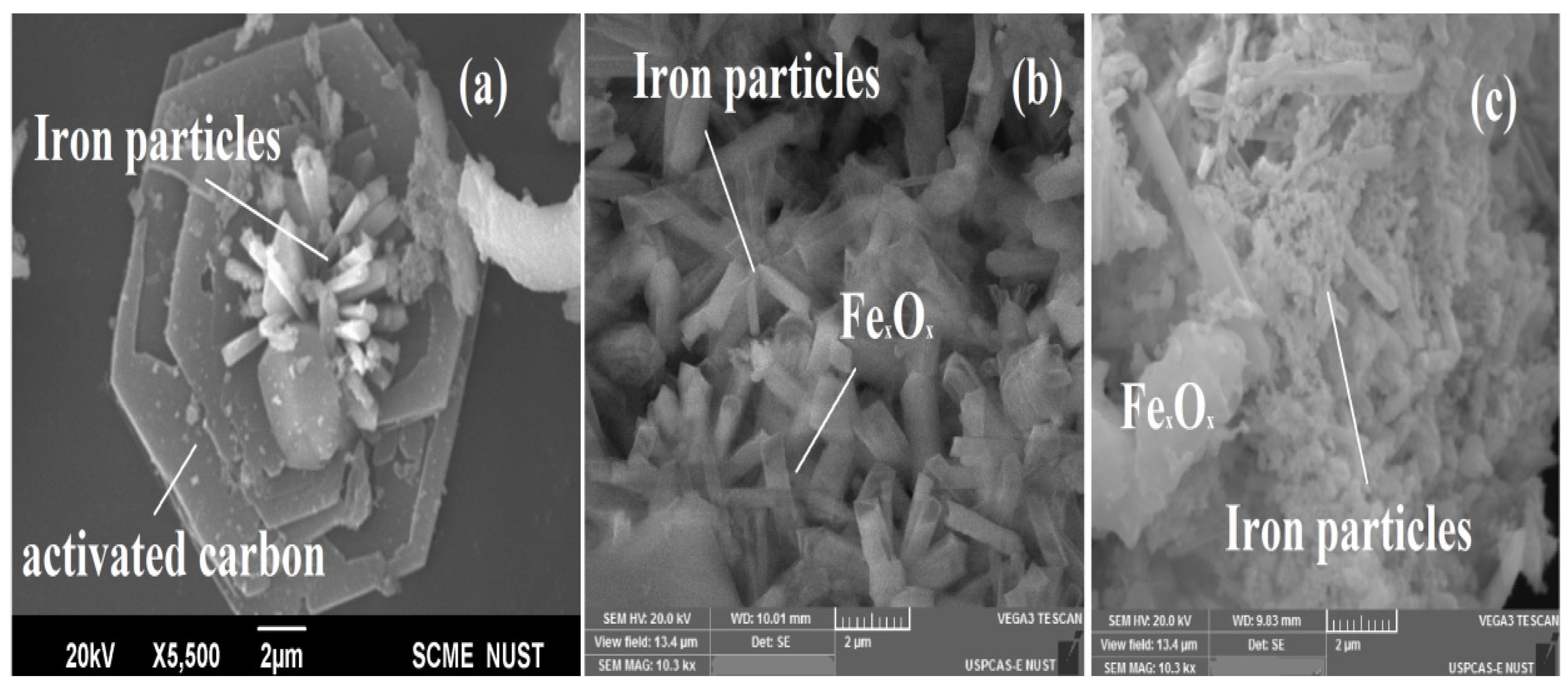 Catalysts 12 01234 g003 Catalysts 12 01234 g003