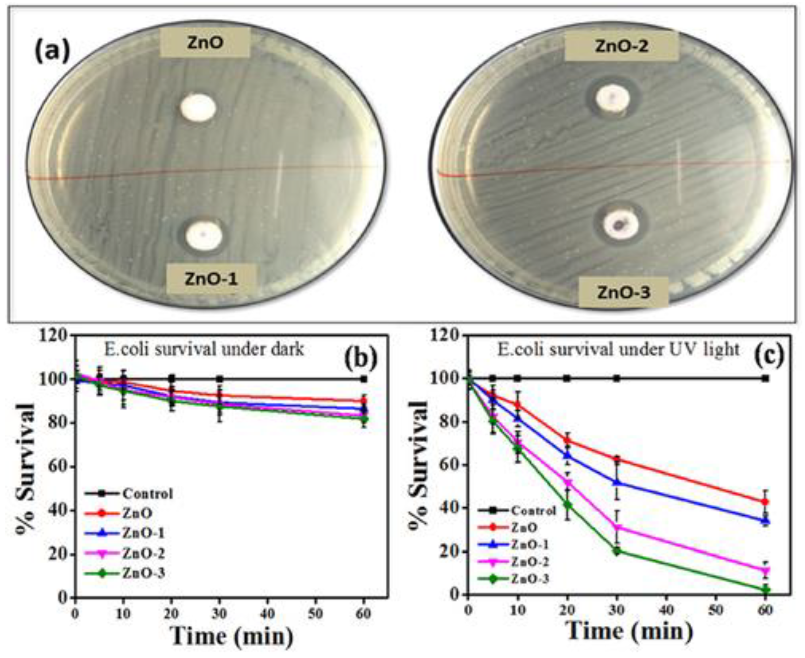 Catalysts 12 01235 g006