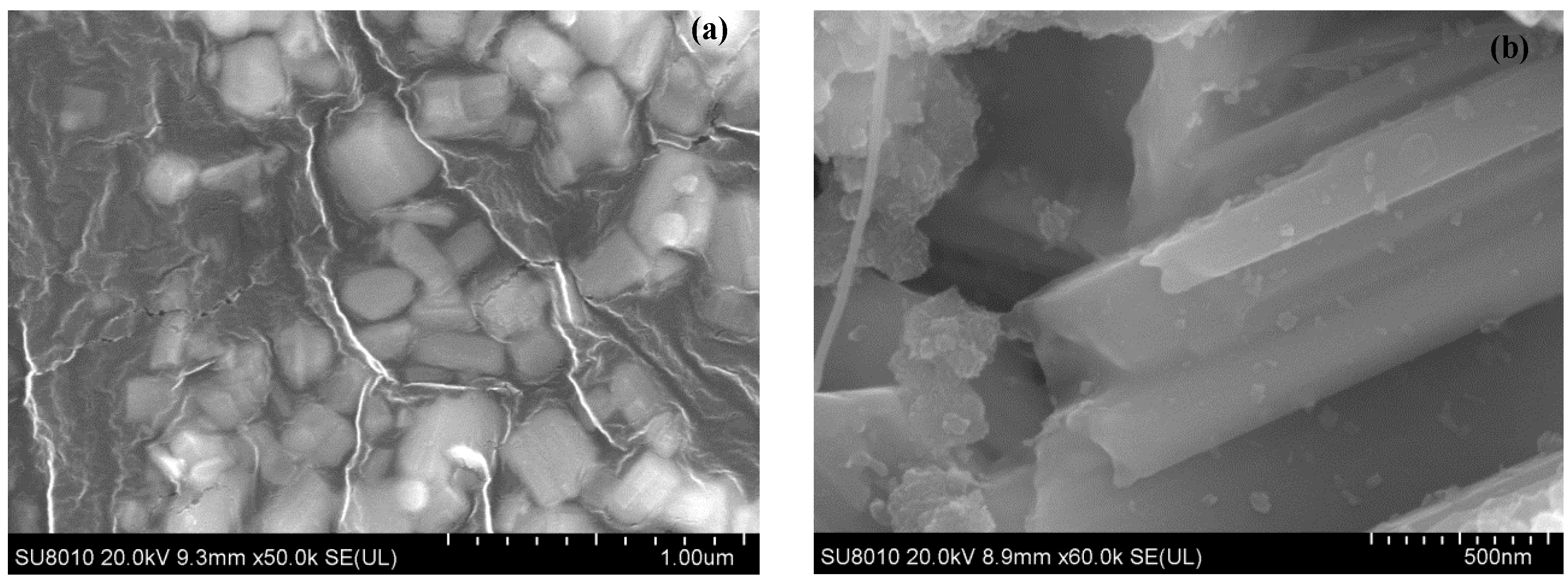 Catalysts 12 01237 g004 Catalysts 12 01237 g004