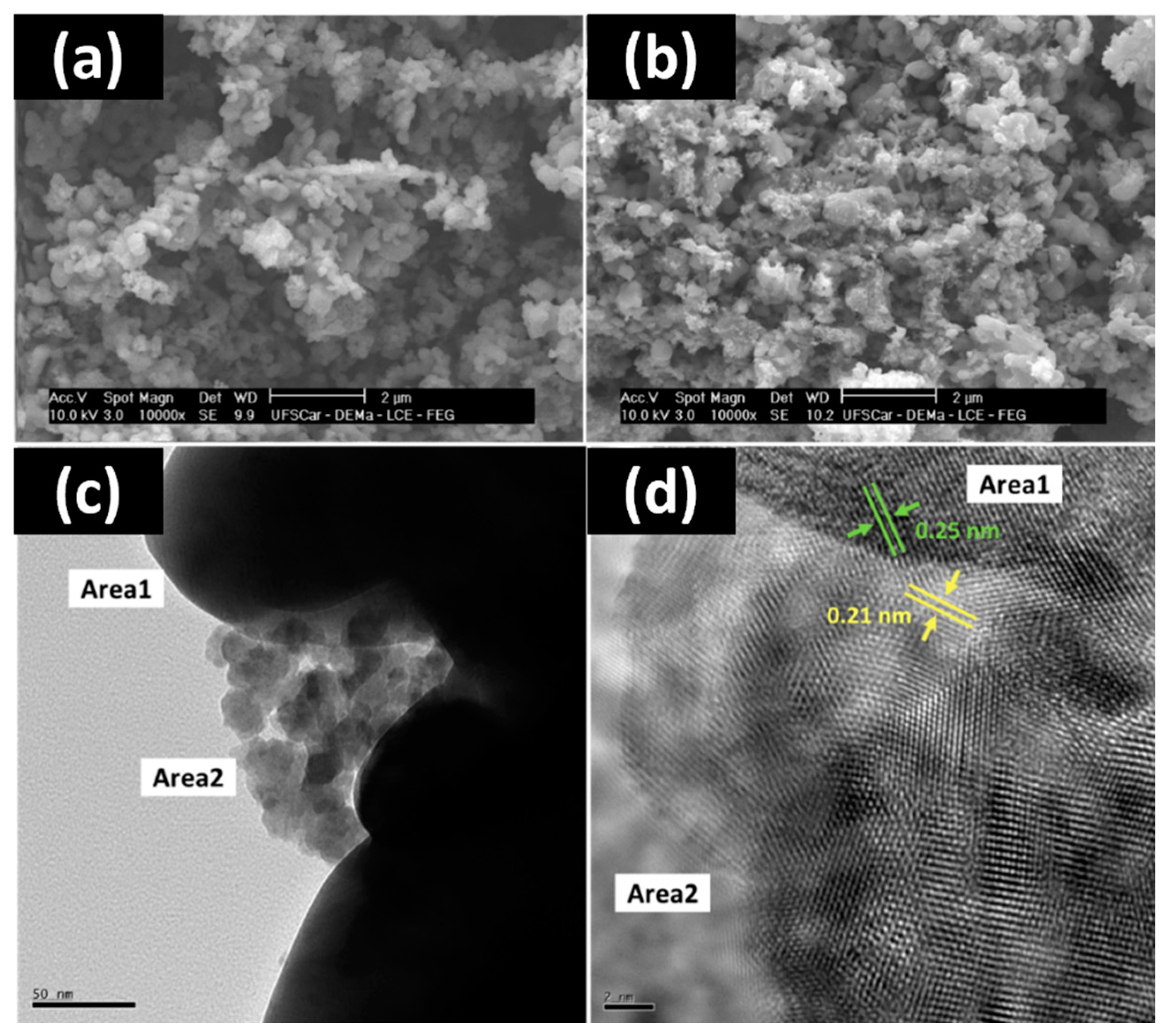 Catalysts 12 01240 g002
