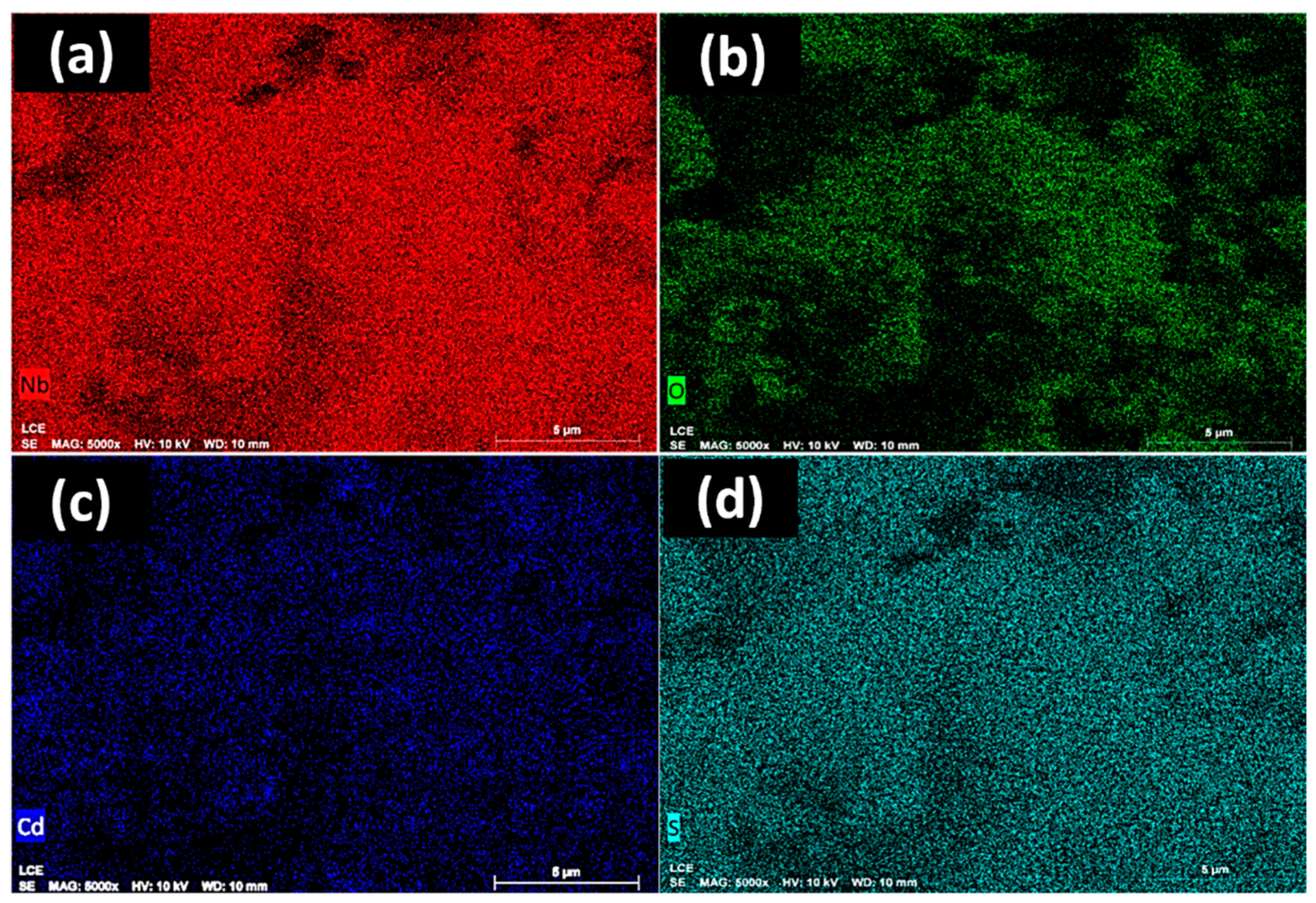 Catalysts 12 01240 g003