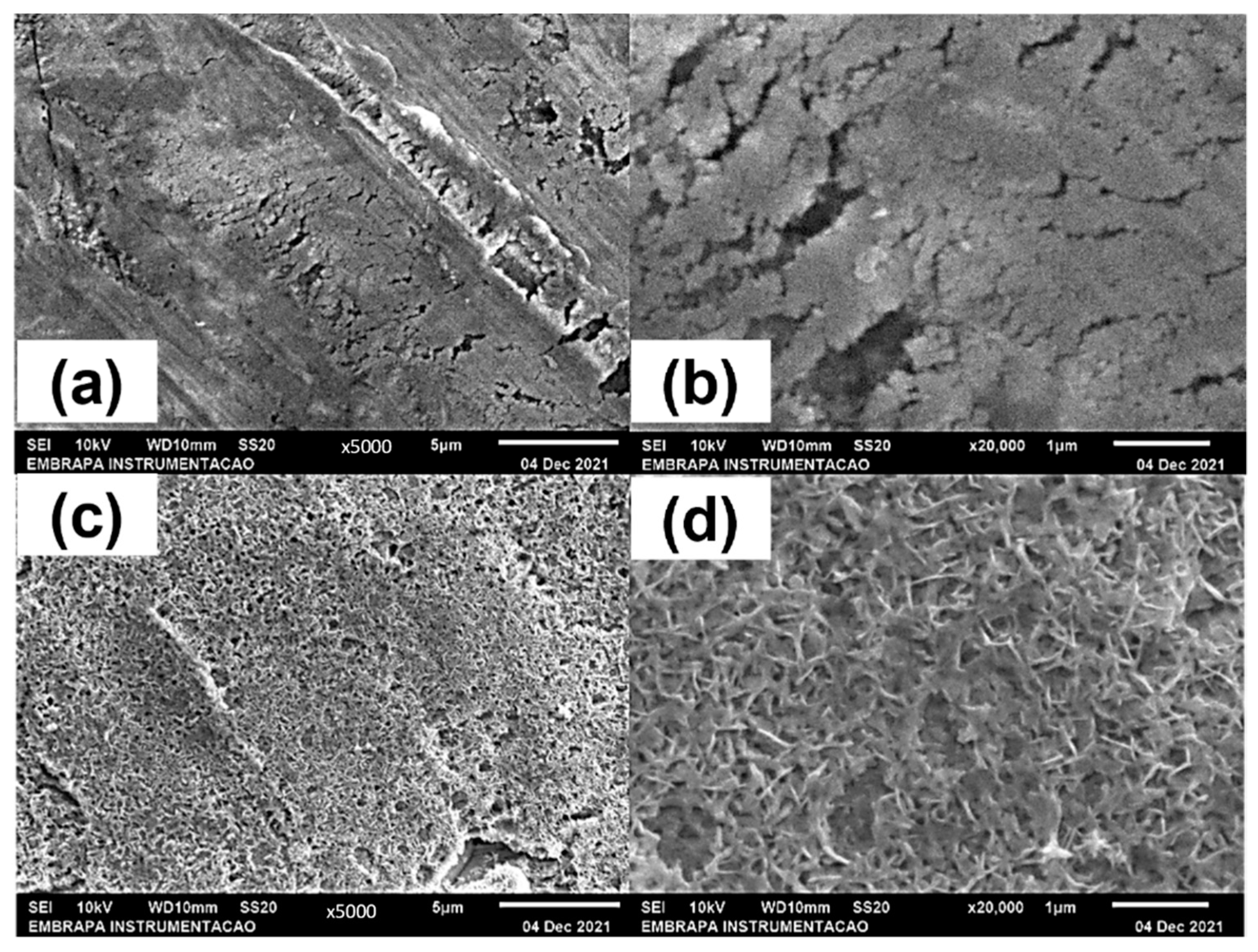 Catalysts 12 01240 g007