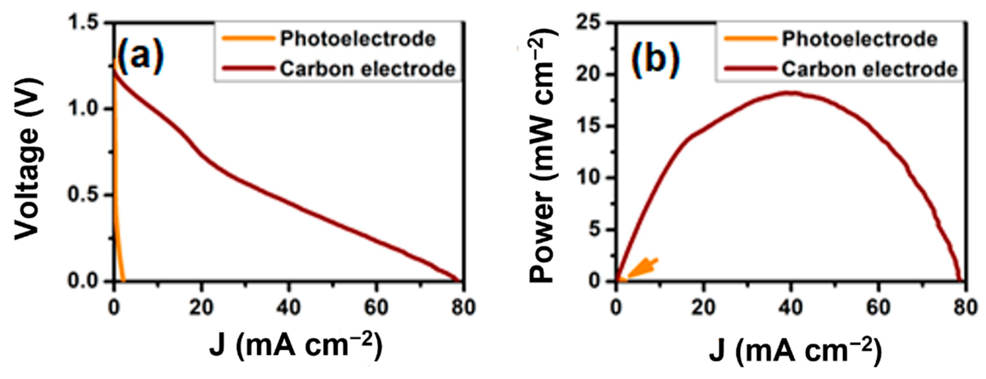 Catalysts 12 01240 g009
