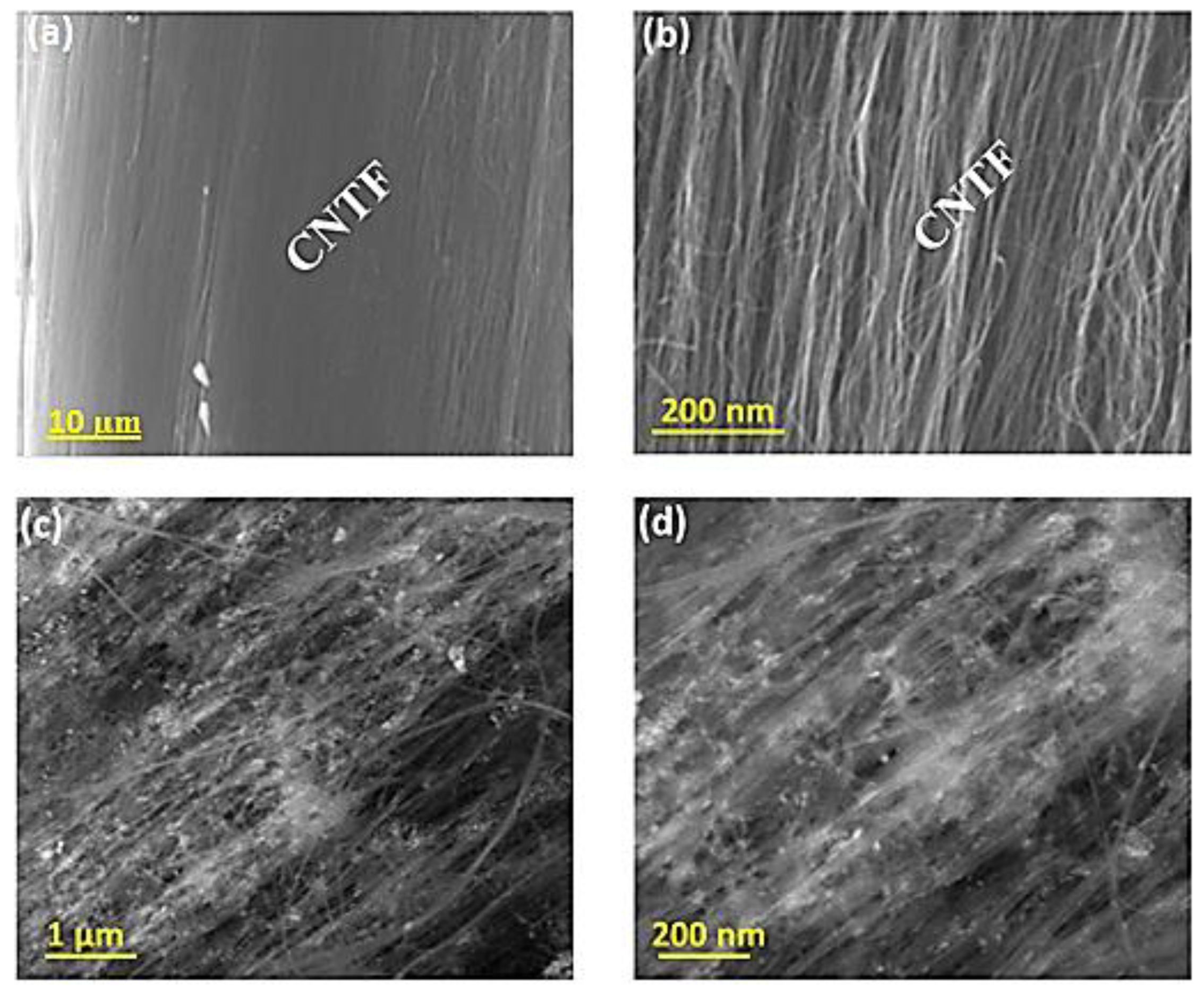 Catalysts 12 01242 g001 Catalysts 12 01242 g001