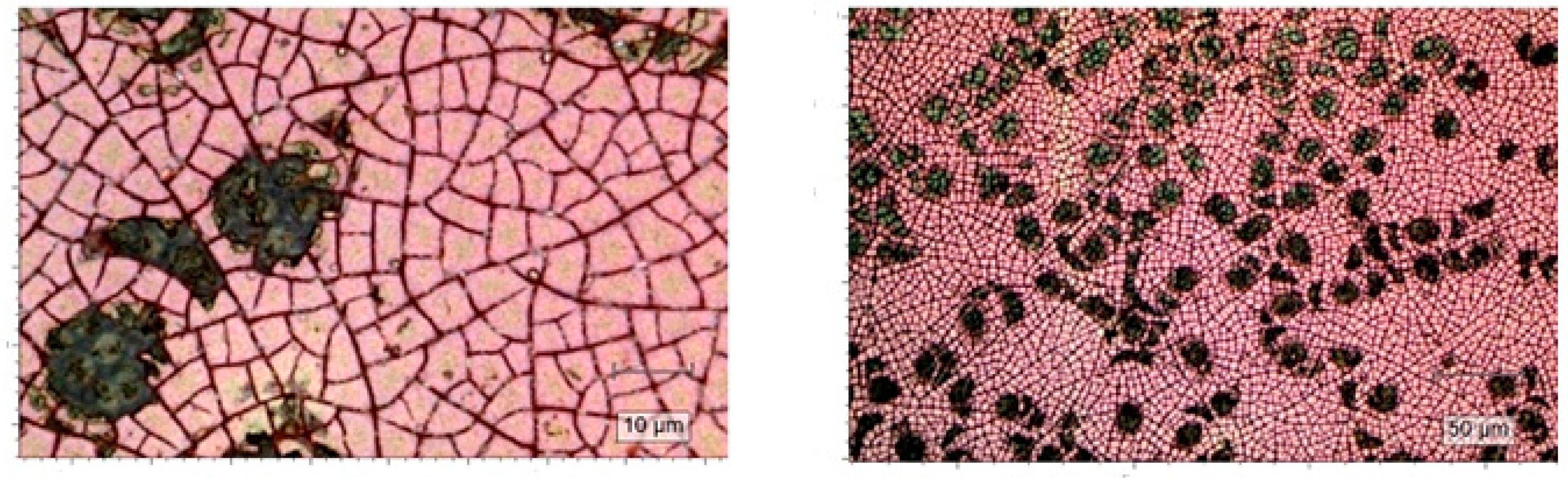 Catalysts 12 01243 g004 Catalysts 12 01243 g004