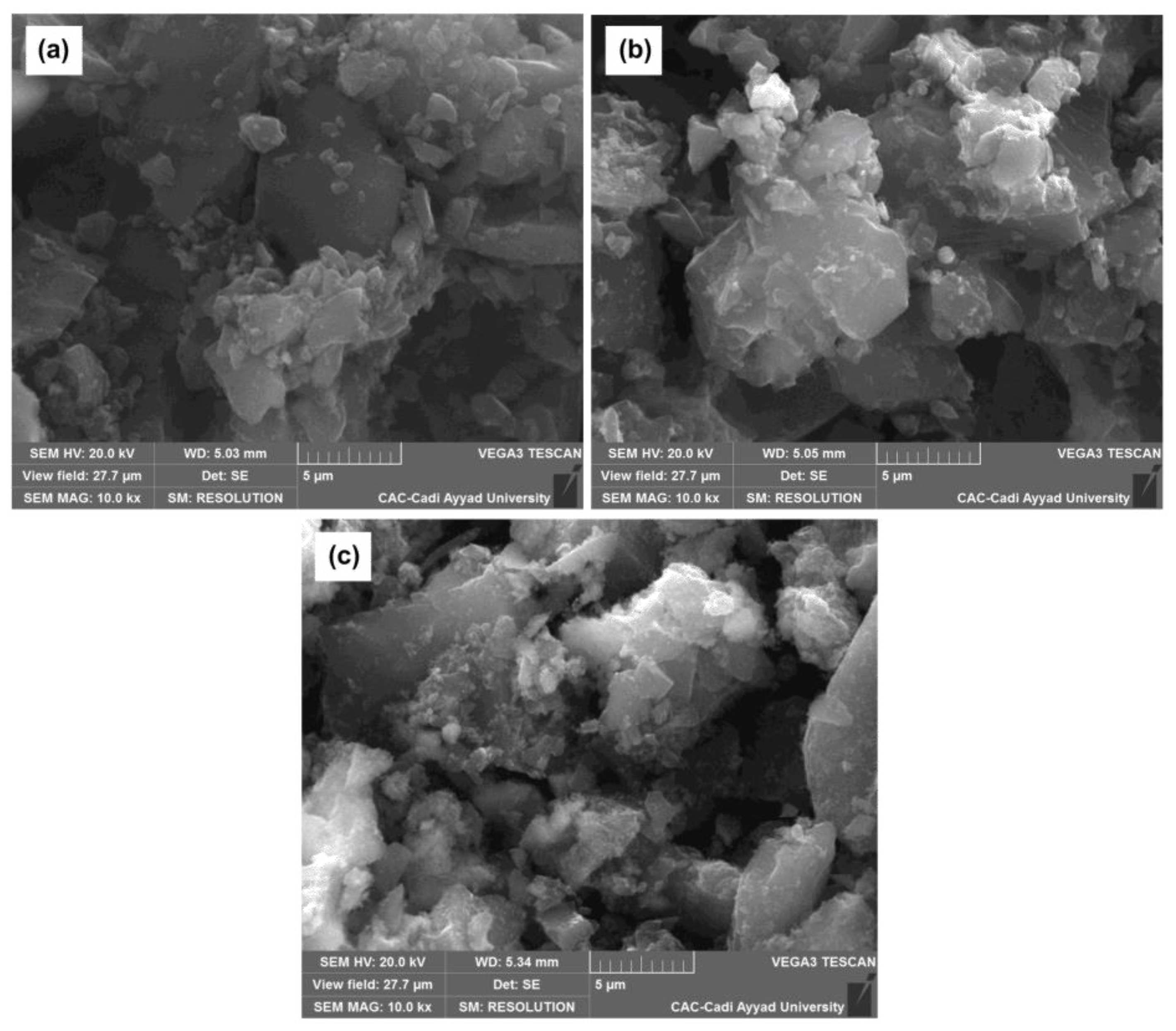 Catalysts 12 01244 g006