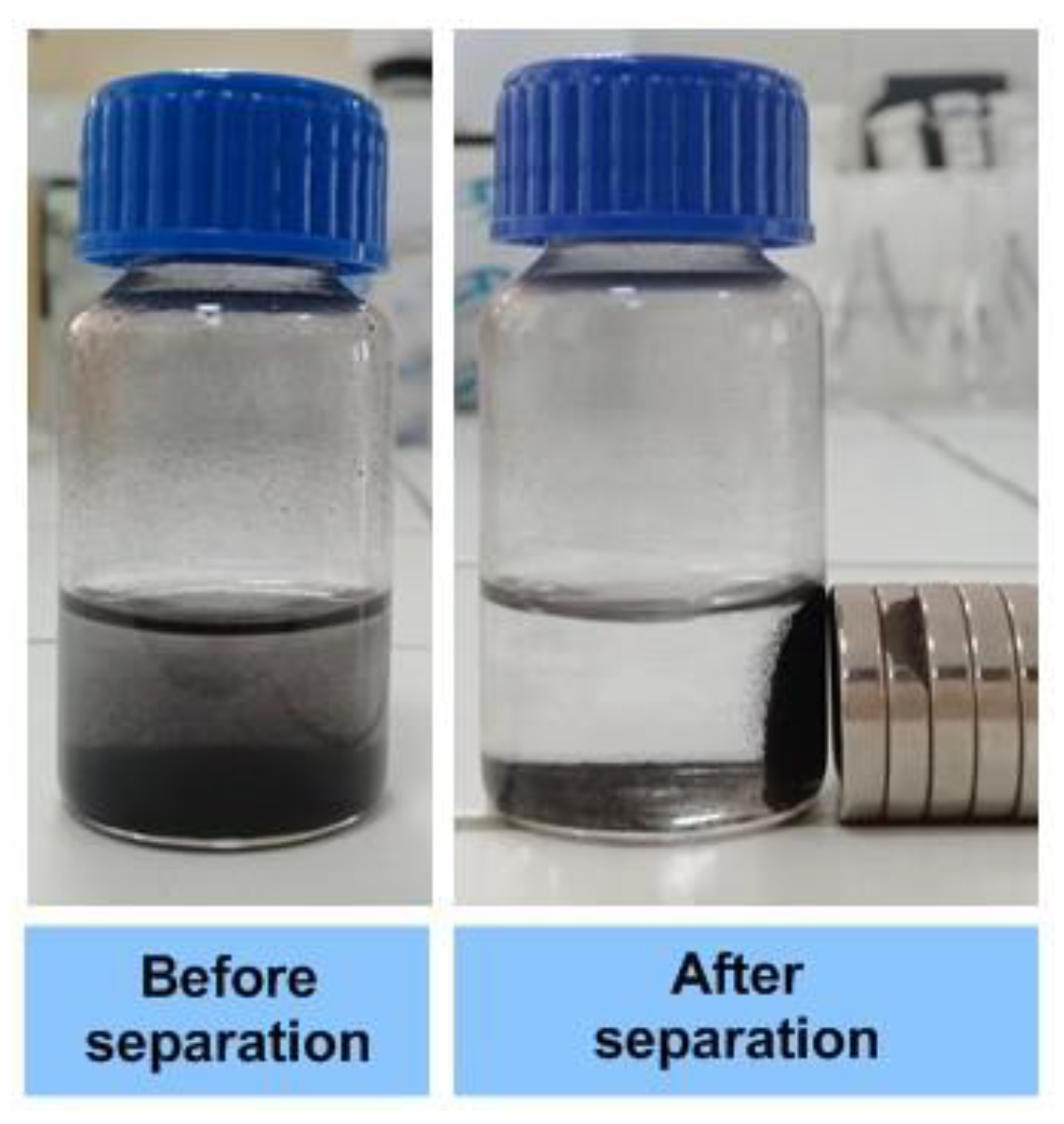 Catalysts 12 01244 g008