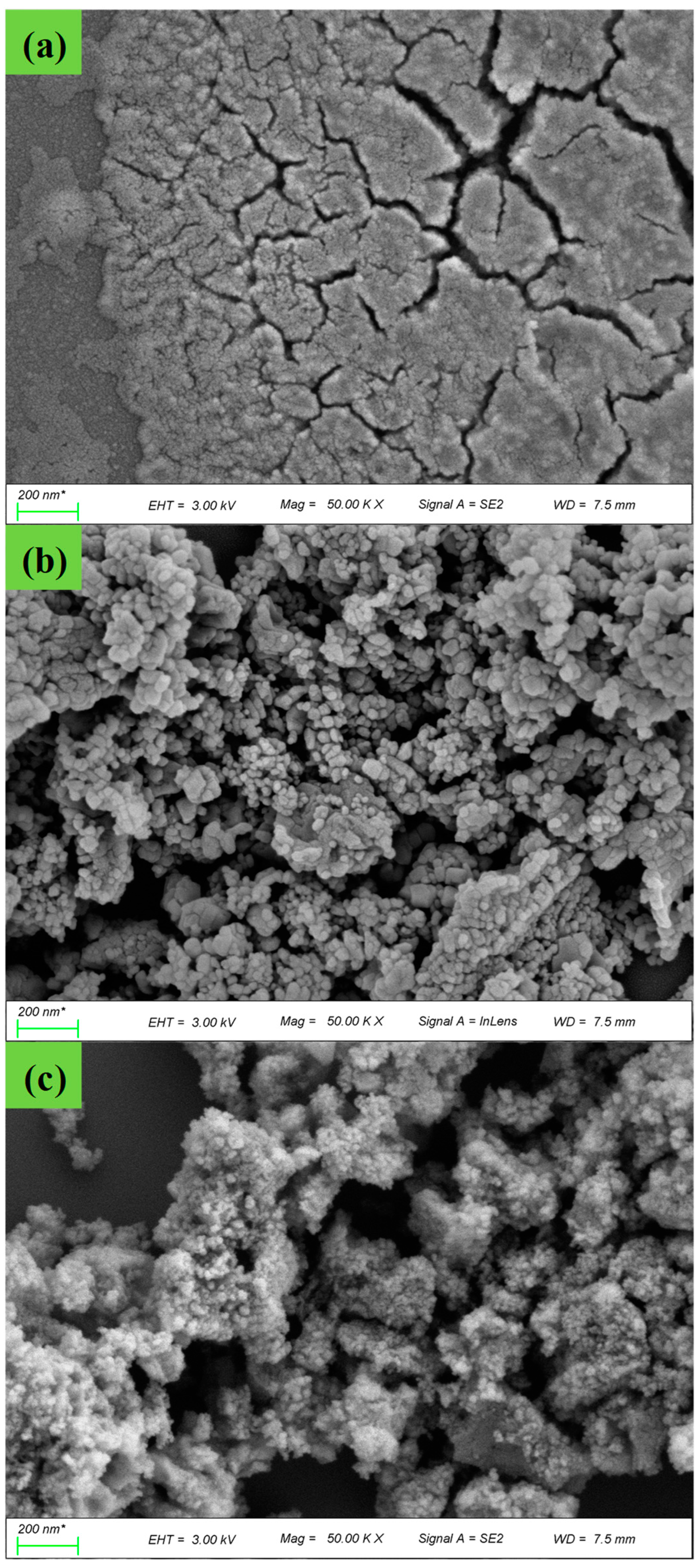 Catalysts 12 01248 g003