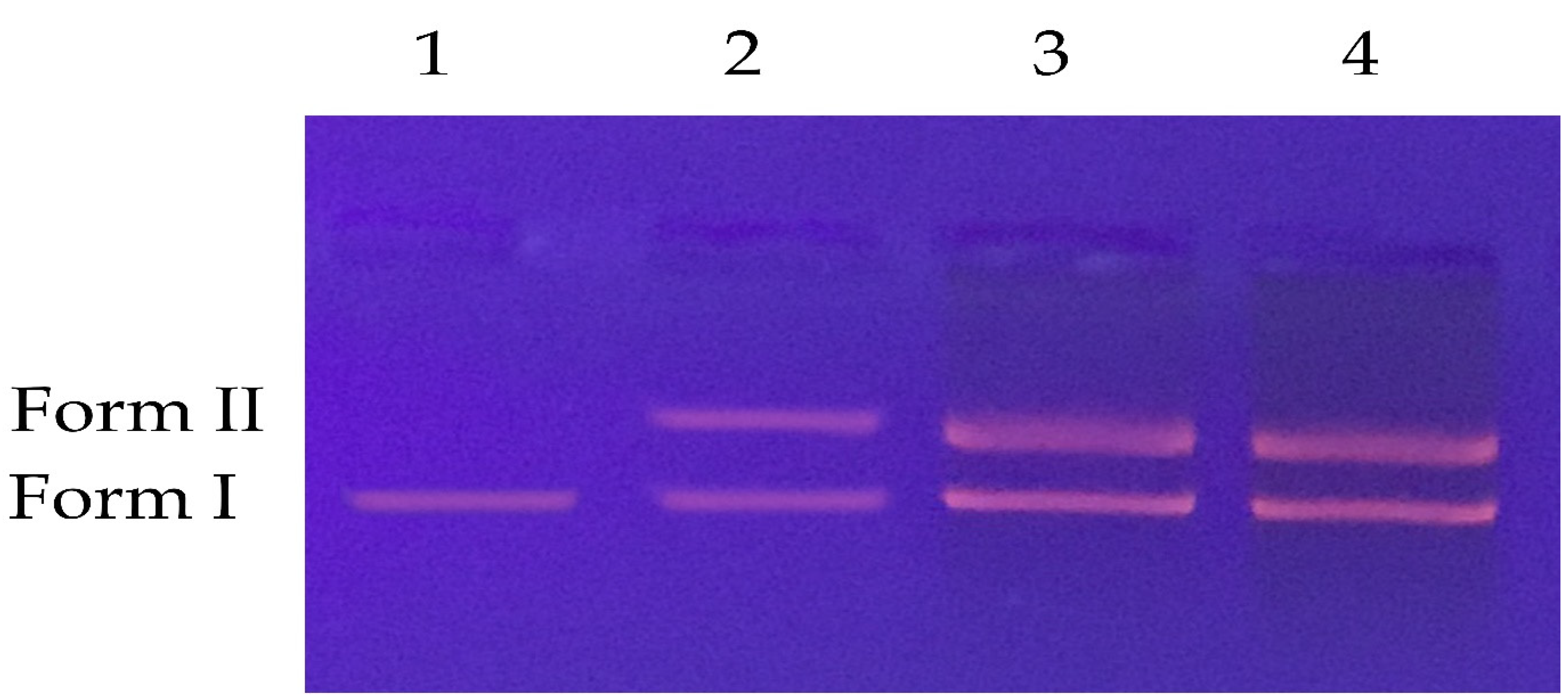 Catalysts 12 01261 g004 Catalysts 12 01261 g004