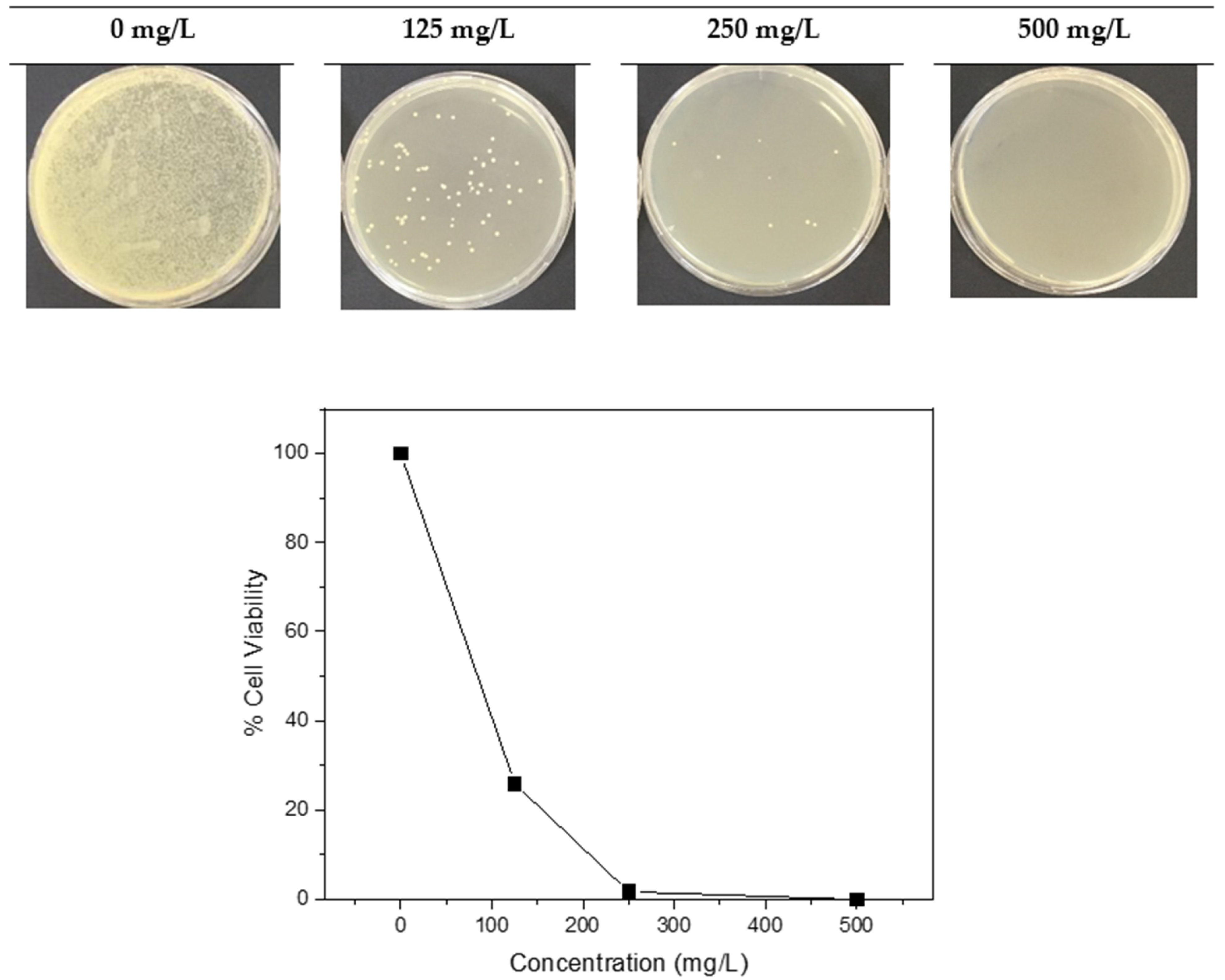 Catalysts 12 01261 g005 Catalysts 12 01261 g005