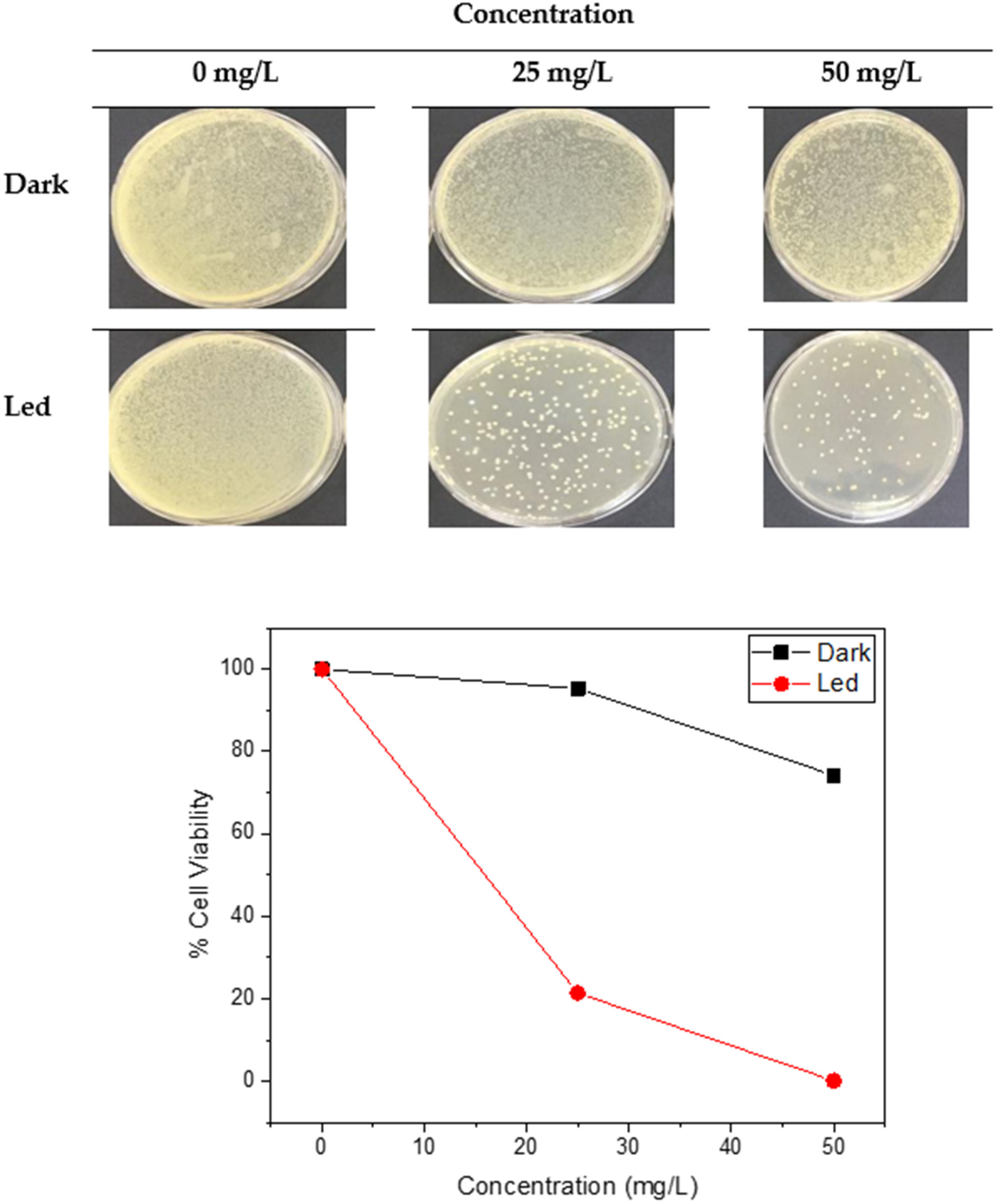 Catalysts 12 01261 g006 Catalysts 12 01261 g006