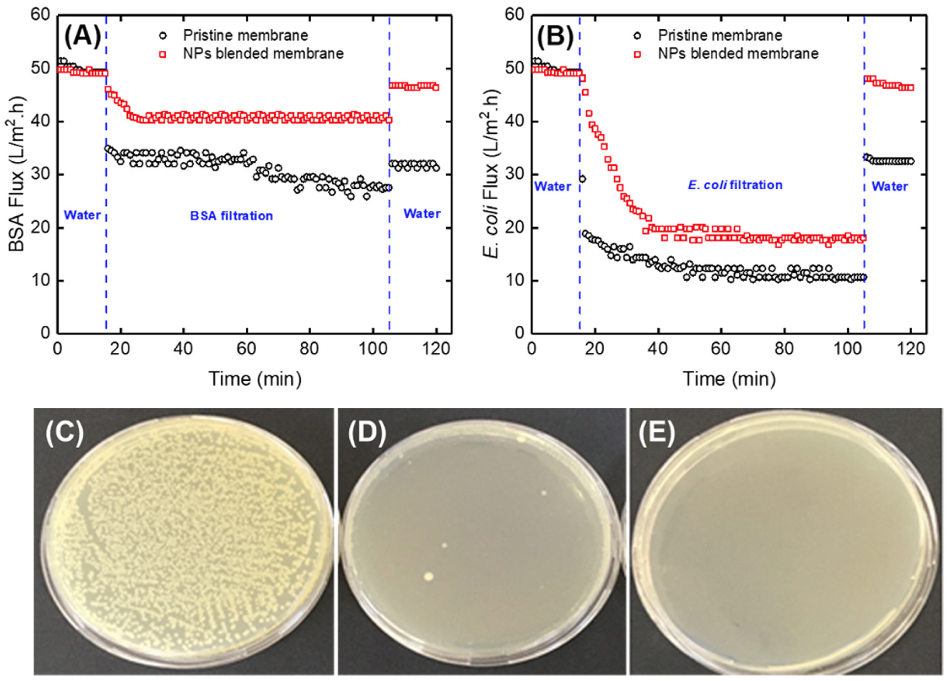 Catalysts 12 01261 g008 Catalysts 12 01261 g008